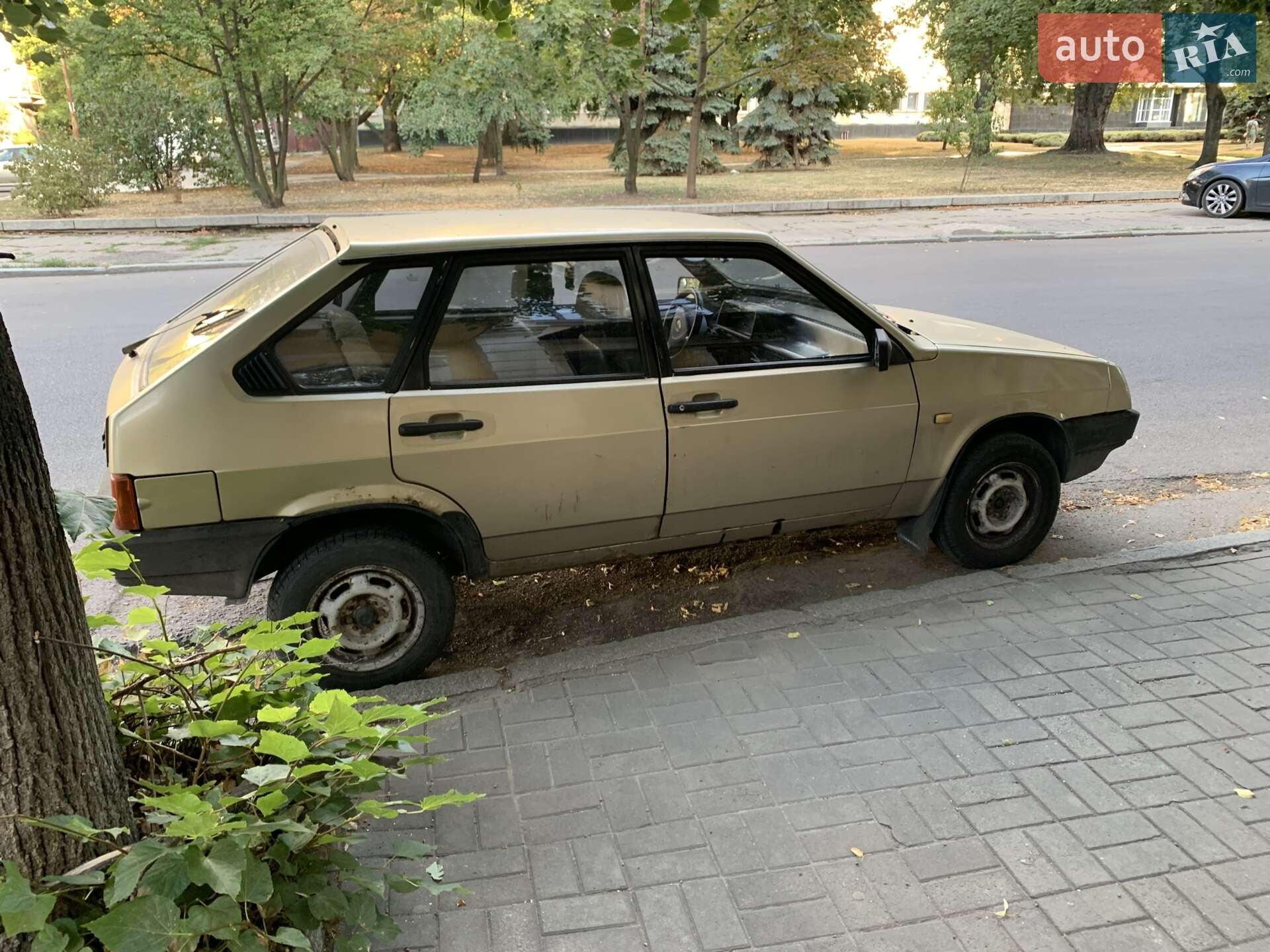 ВАЗ / Lada 2109 1989 VIN XTA210930L0625759 фото оголошення 2 з 7