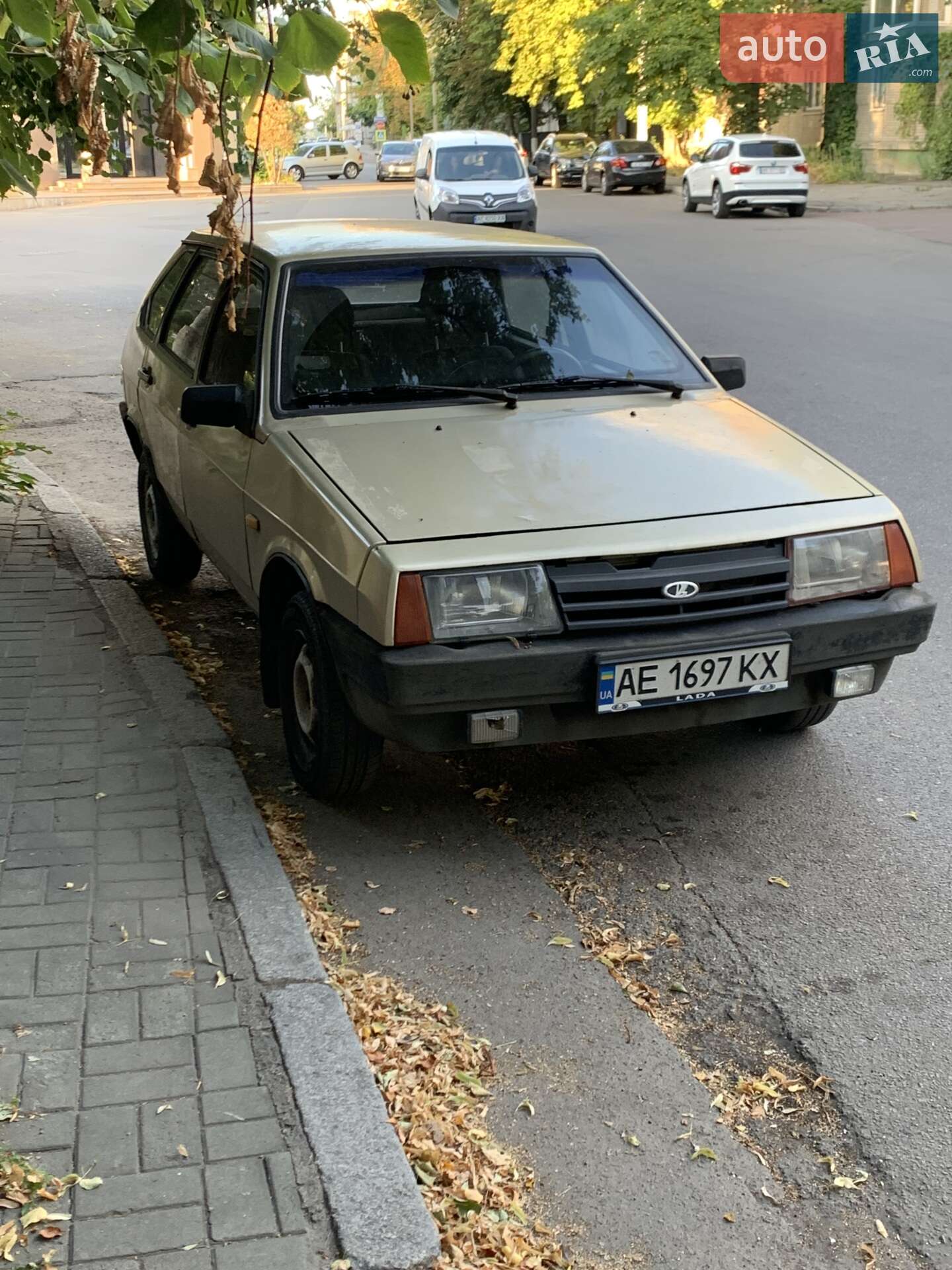 ВАЗ / Lada 2109 1989 VIN XTA210930L0625759 фото оголошення 6 з 7