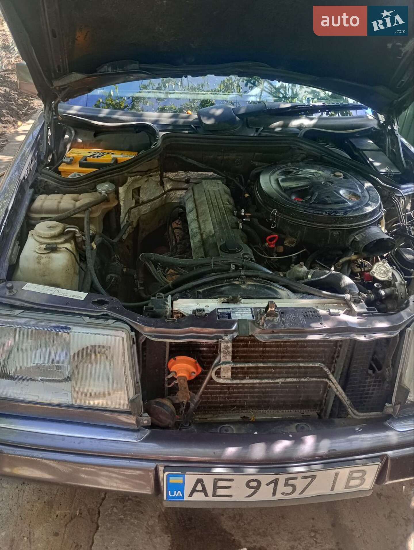 Mercedes-Benz E-Class 1992 VIN WDB1240261B781544 фото оголошення 4 з 6
