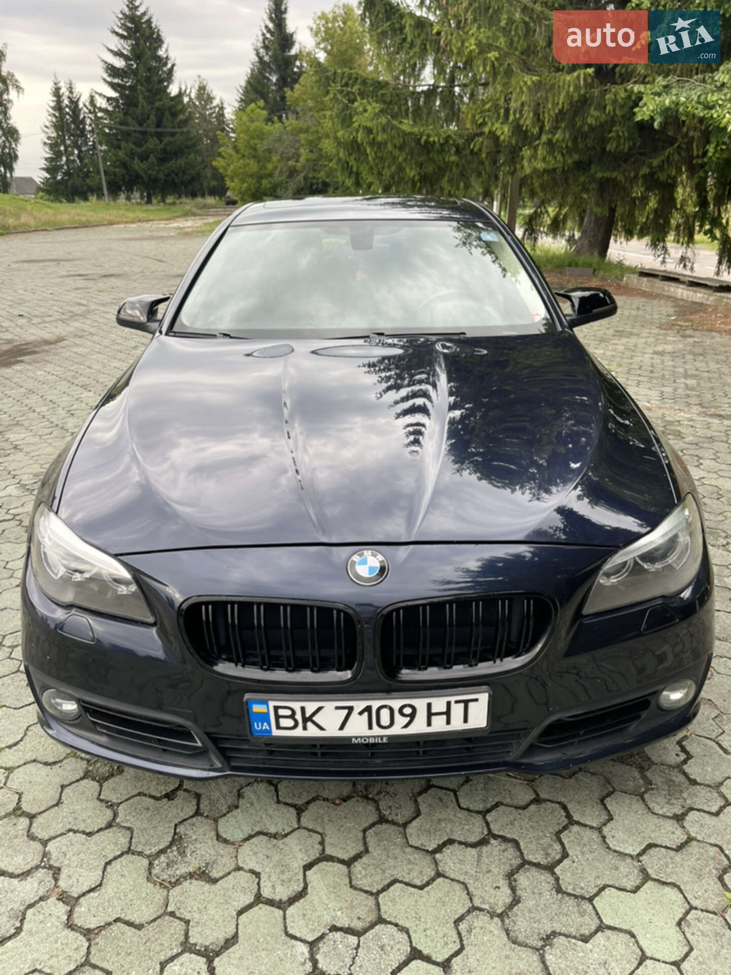 BMW 5 Series 2015 VIN WBA5A5C50FD521256 фото оголошення 22 з 27