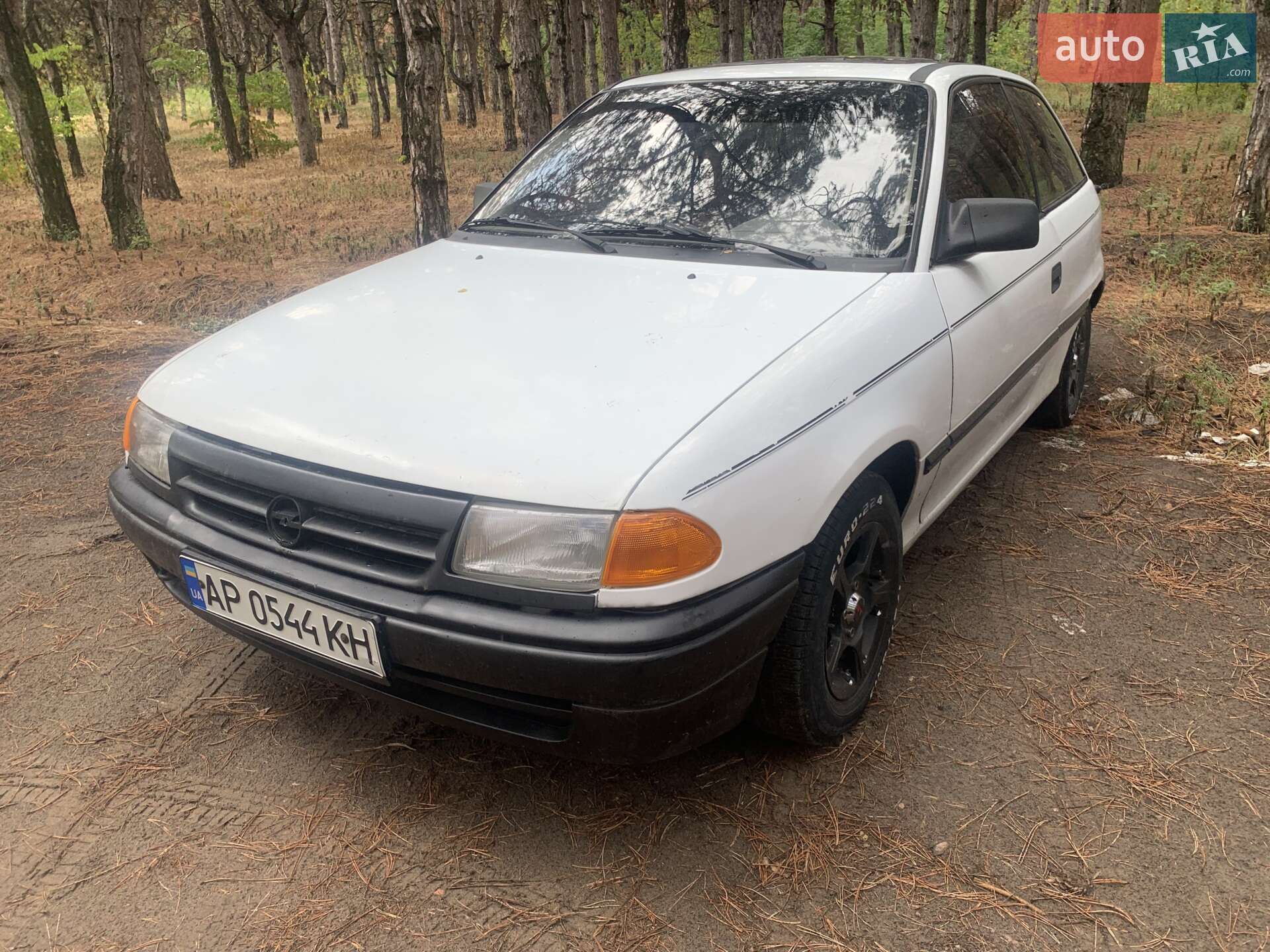 Opel Astra 1992 VIN W0L000053N5306378 фото оголошення 2 з 9