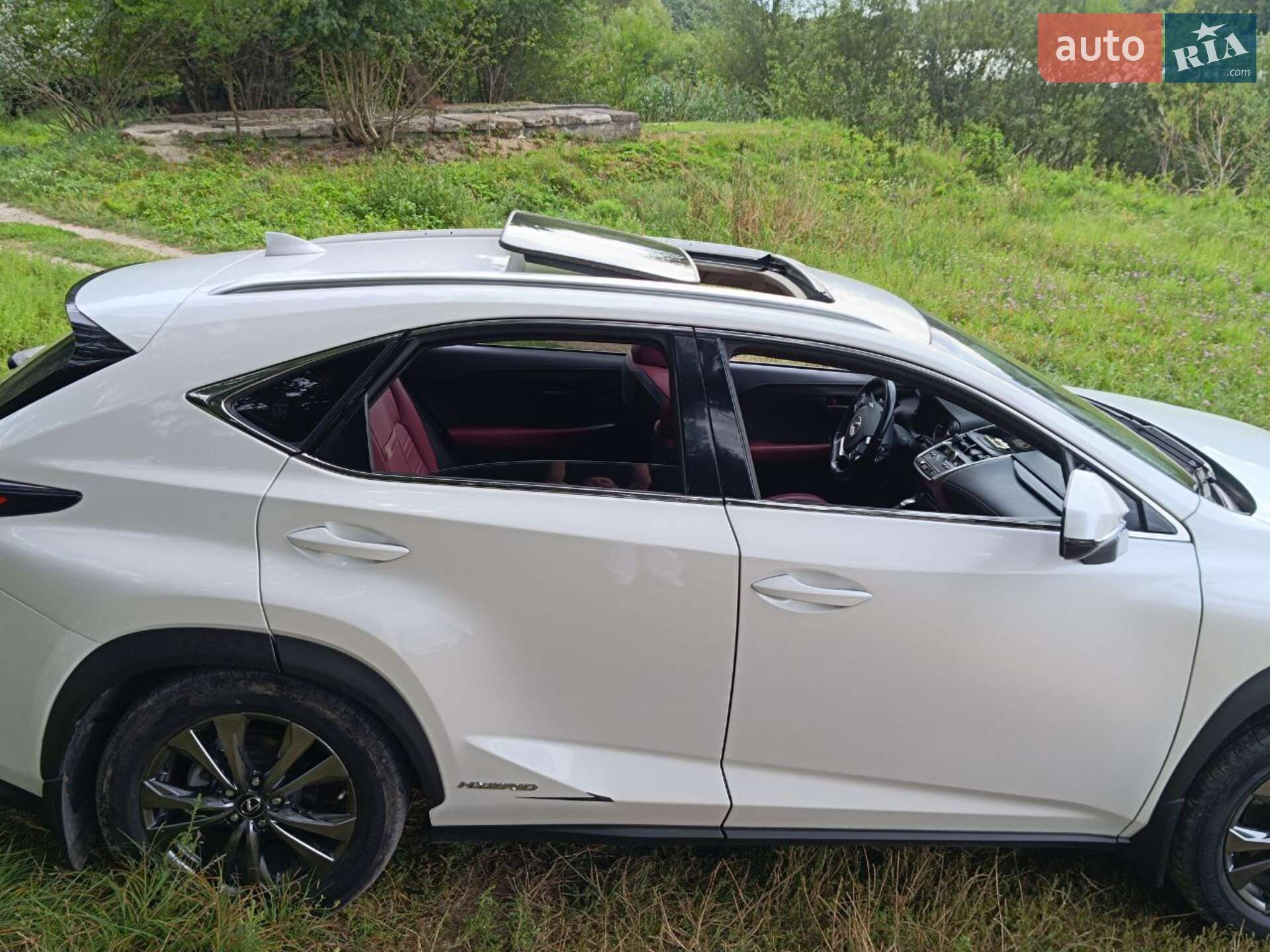 Lexus NX 2019 VIN JTJDJRDZ6L5002335 фото оголошення 14 з 25