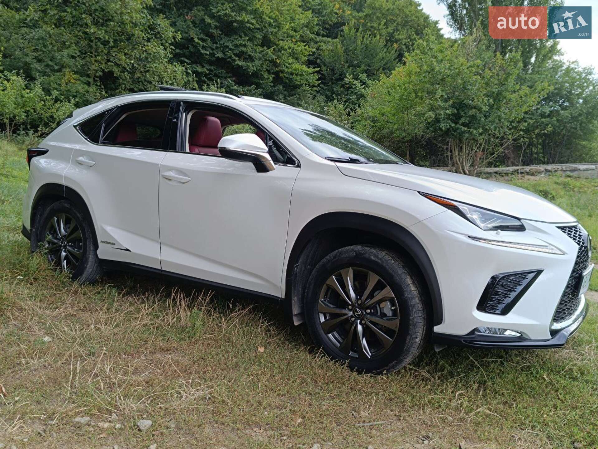 Lexus NX 2019 VIN JTJDJRDZ6L5002335 фото оголошення 16 з 25