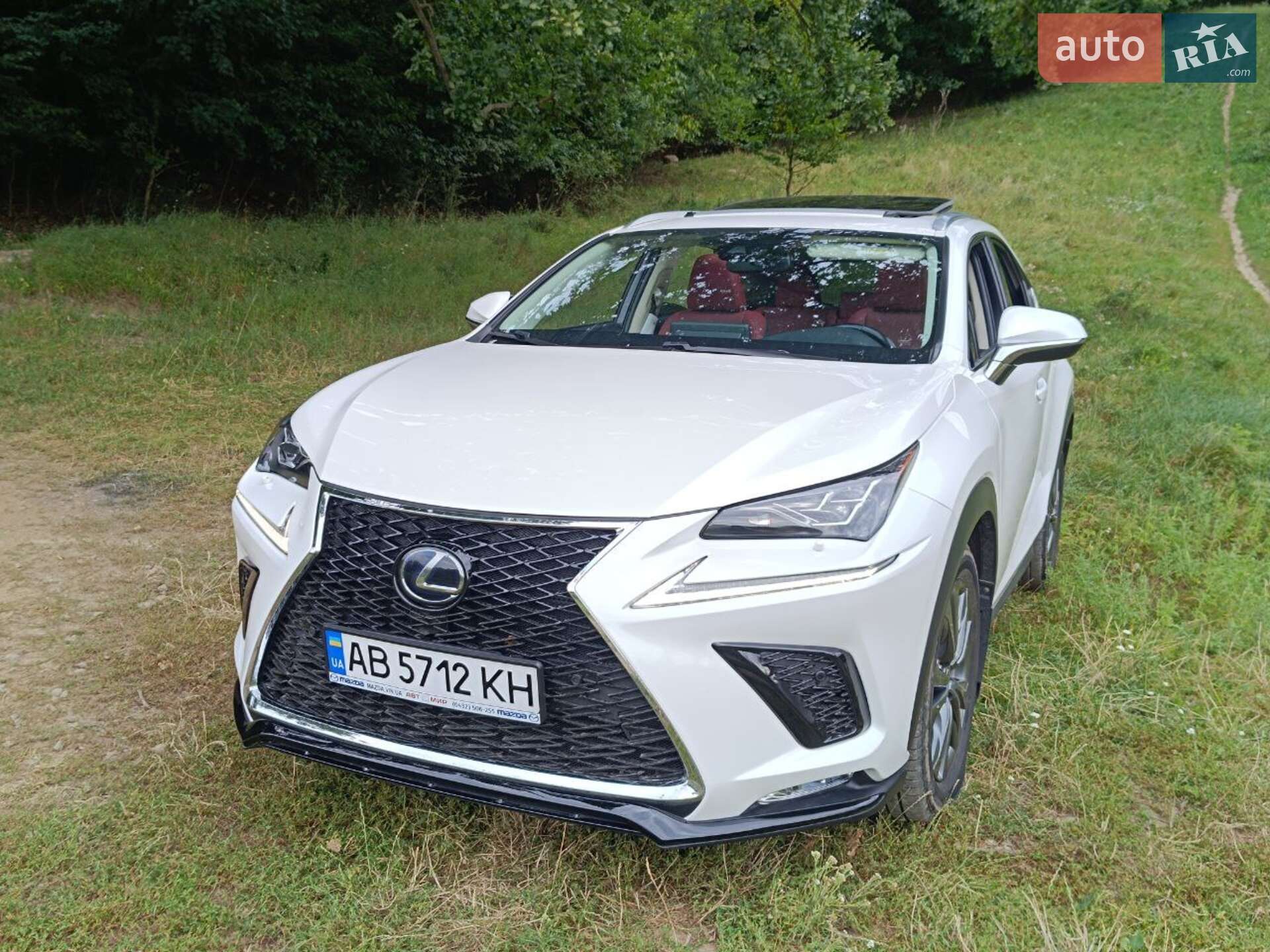 Lexus NX 2019 VIN JTJDJRDZ6L5002335 фото оголошення 17 з 25