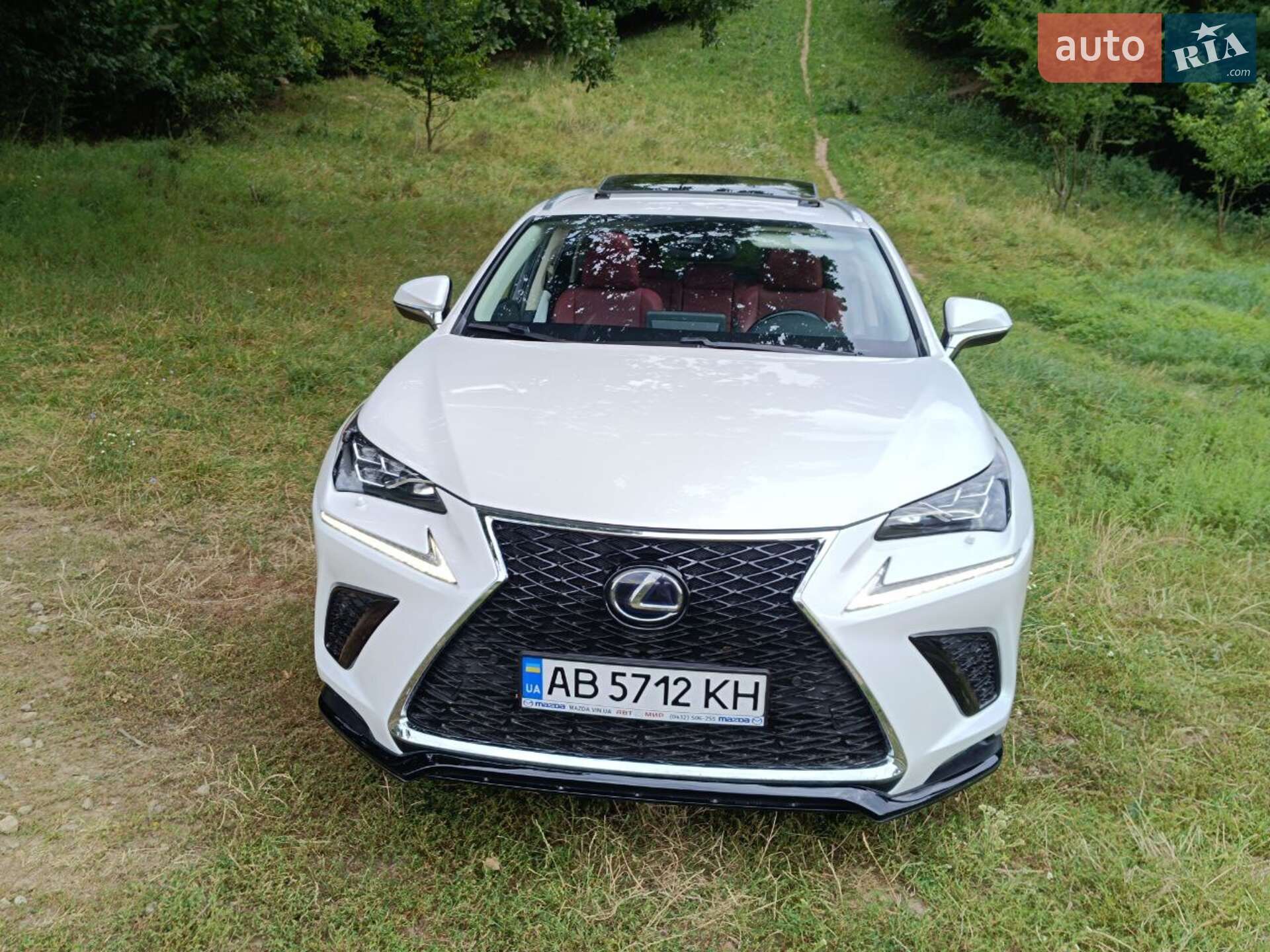 Lexus NX 2019 VIN JTJDJRDZ6L5002335 фото оголошення 25 з 25