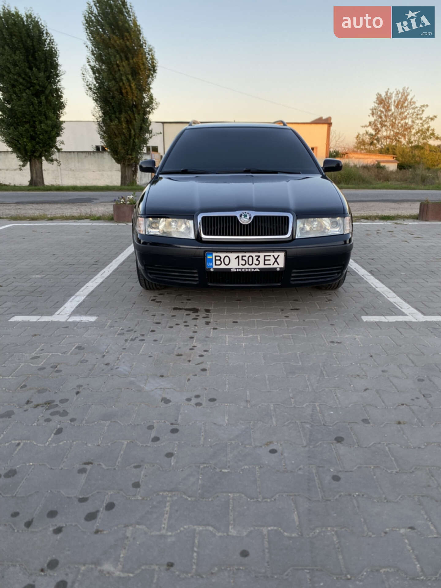 Skoda Octavia 2009 VIN TMBJX21U9A8829889 фото оголошення 25 з 80