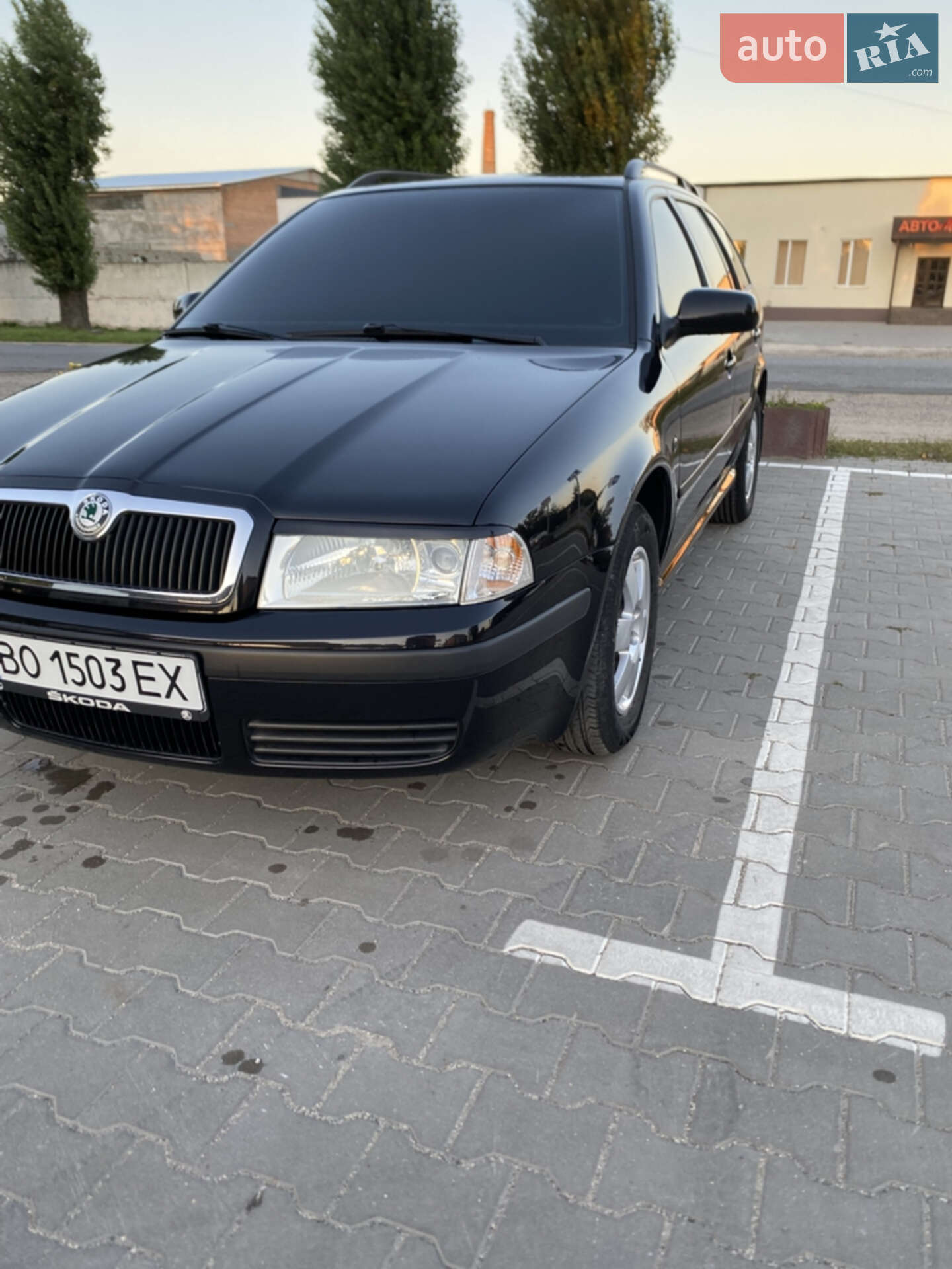 Skoda Octavia 2009 VIN TMBJX21U9A8829889 фото оголошення 3 з 80