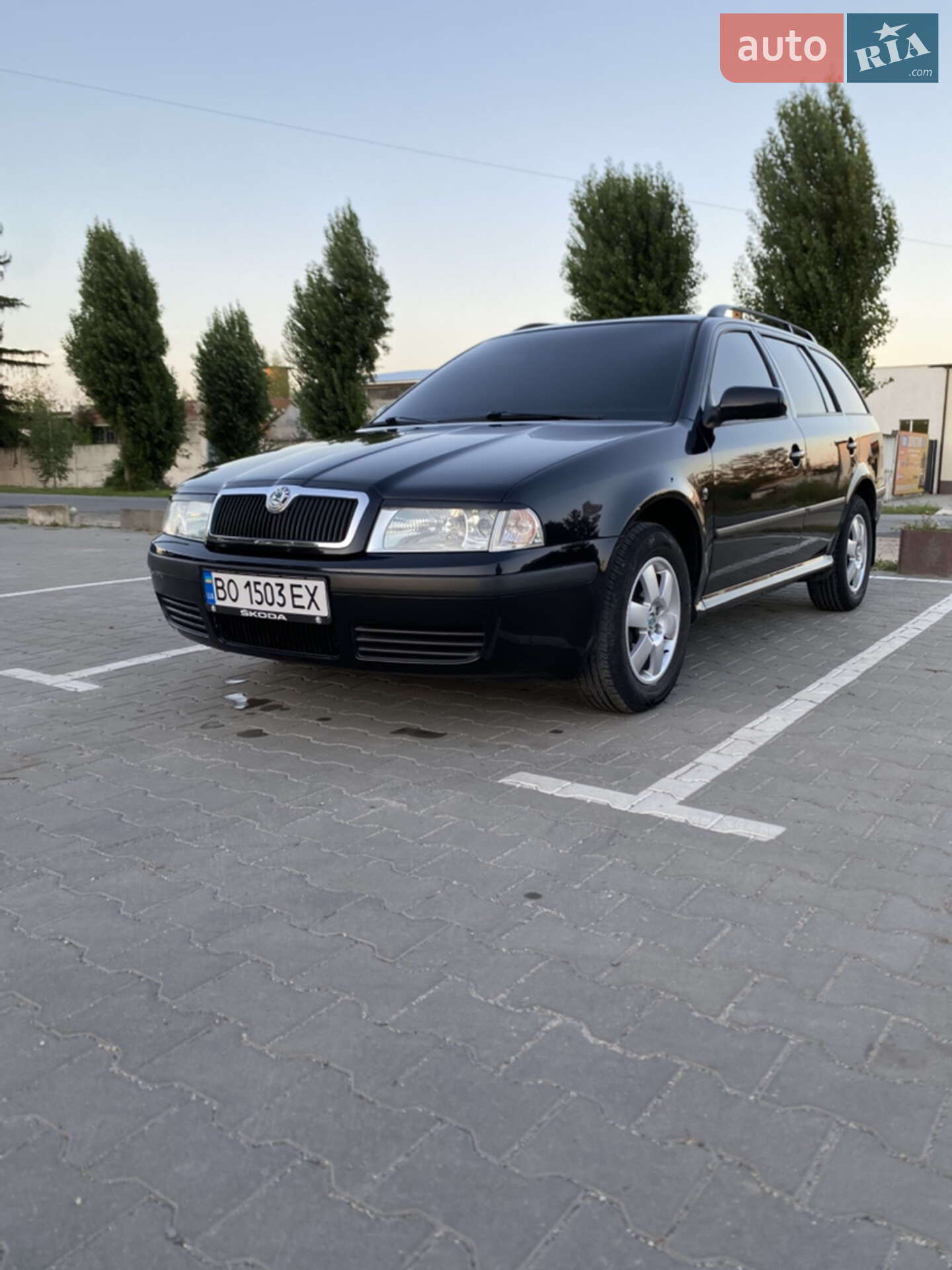 Skoda Octavia 2009 VIN TMBJX21U9A8829889 фото оголошення 4 з 80