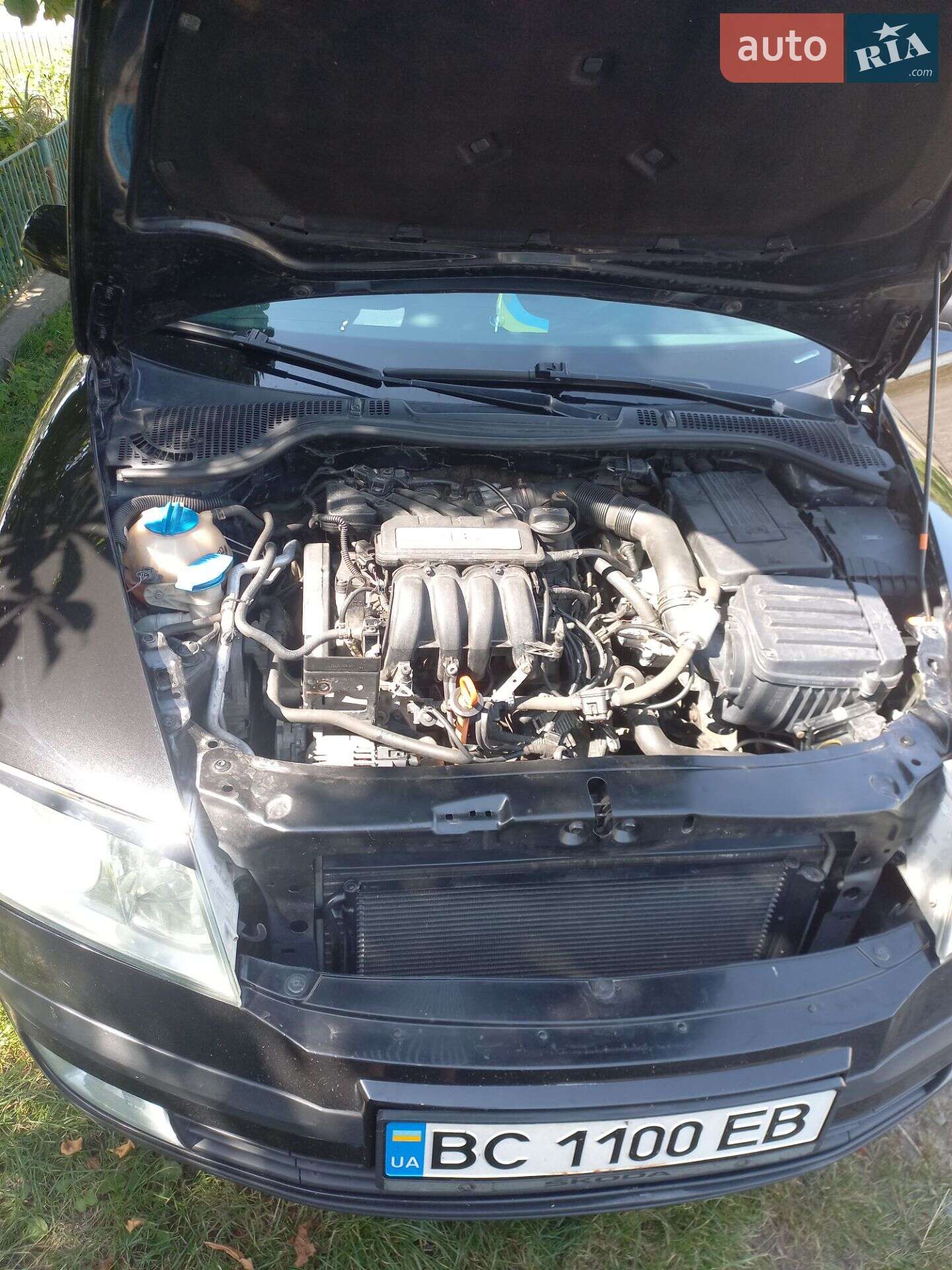 Skoda Octavia 2008 VIN TMBCA41ZX8B156089 фото оголошення 4 з 12