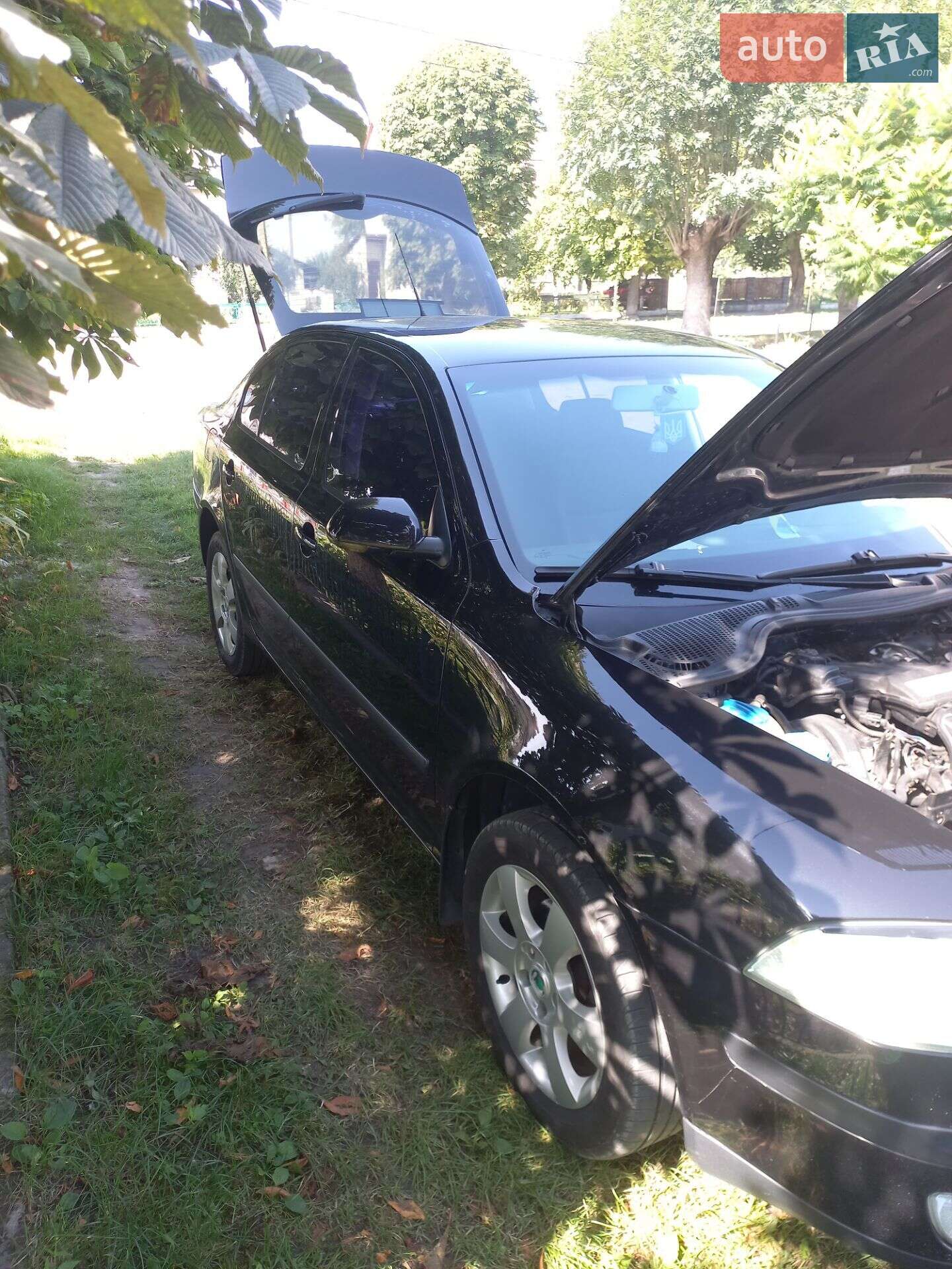 Skoda Octavia 2008 VIN TMBCA41ZX8B156089 фото оголошення 6 з 12
