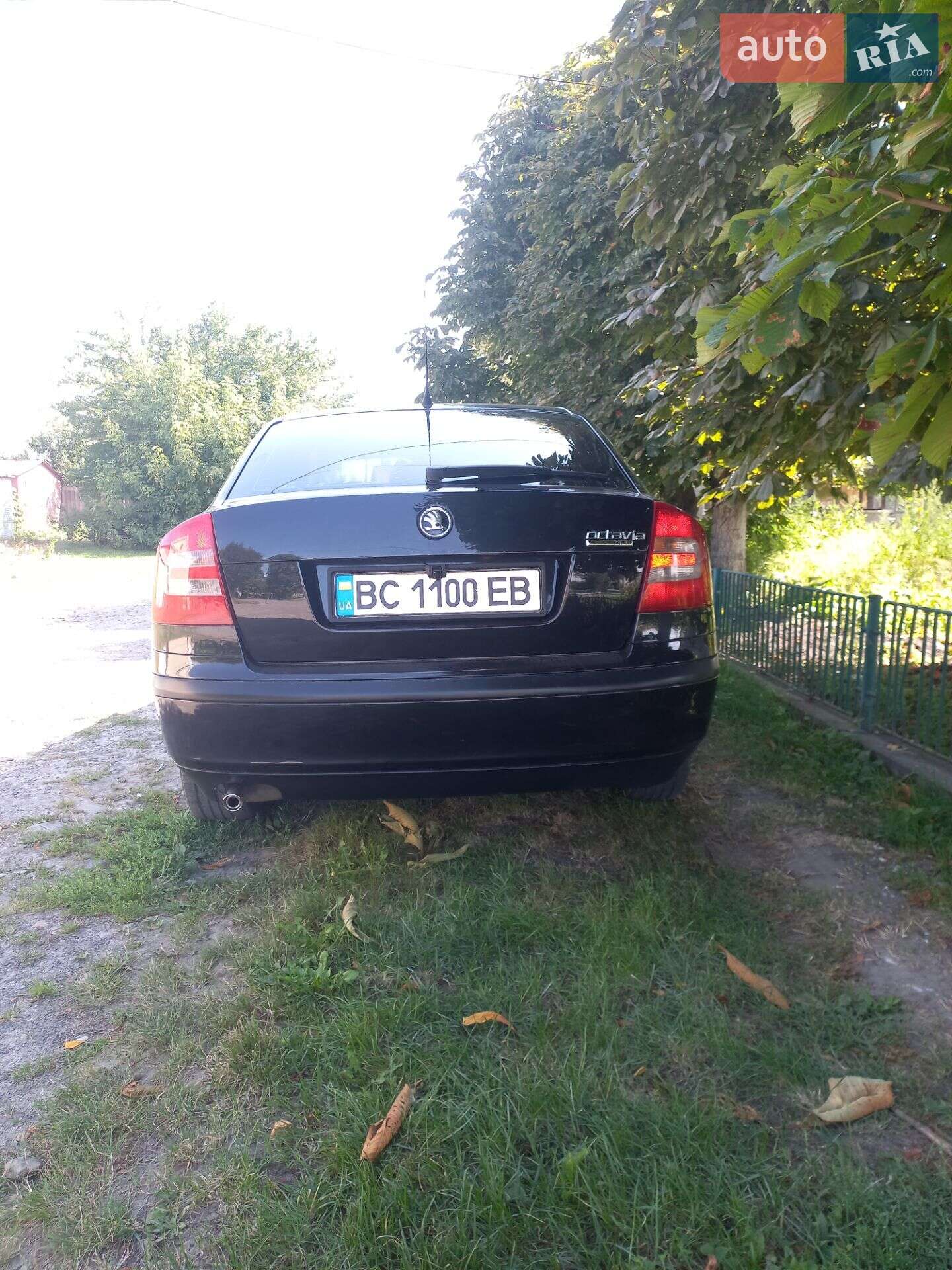 Skoda Octavia 2008 VIN TMBCA41ZX8B156089 фото оголошення 7 з 12