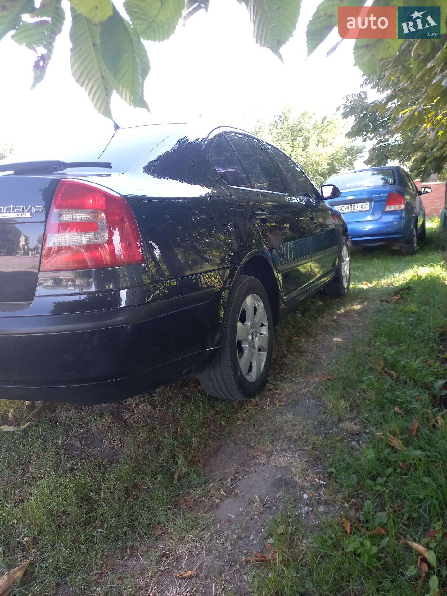 Skoda Octavia 2008 VIN TMBCA41ZX8B156089 фото оголошення 9 з 12
