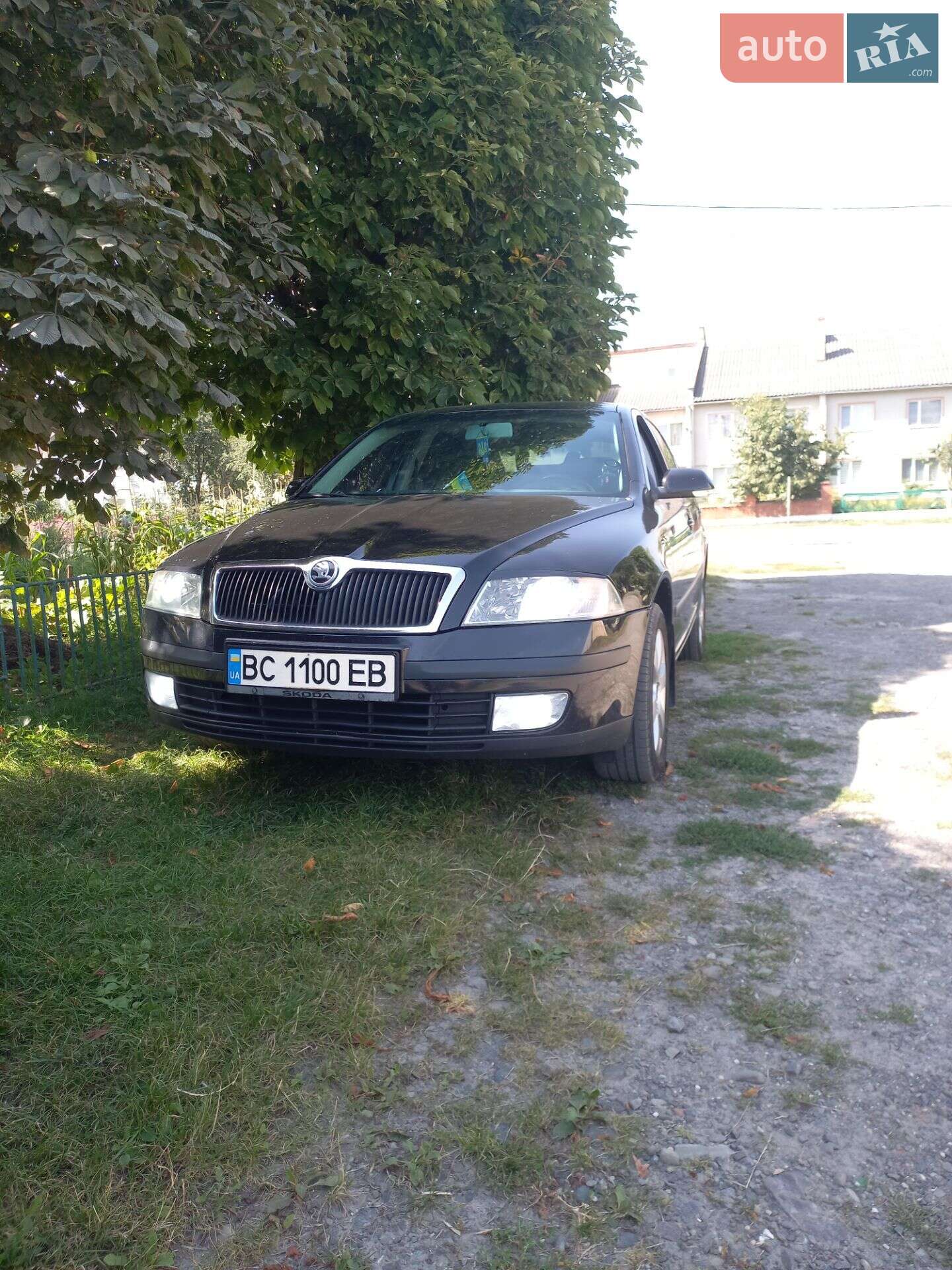 Skoda Octavia 2008 VIN TMBCA41ZX8B156089 фото оголошення 10 з 12