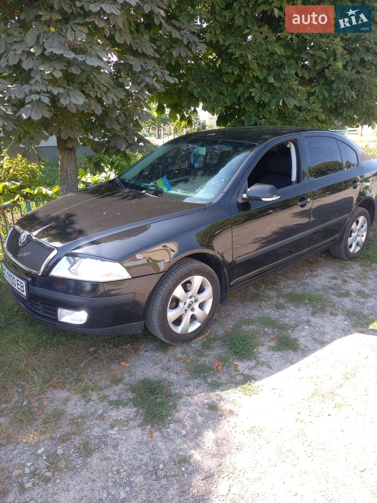 Skoda Octavia 2008 VIN TMBCA41ZX8B156089 фото оголошення 11 з 12
