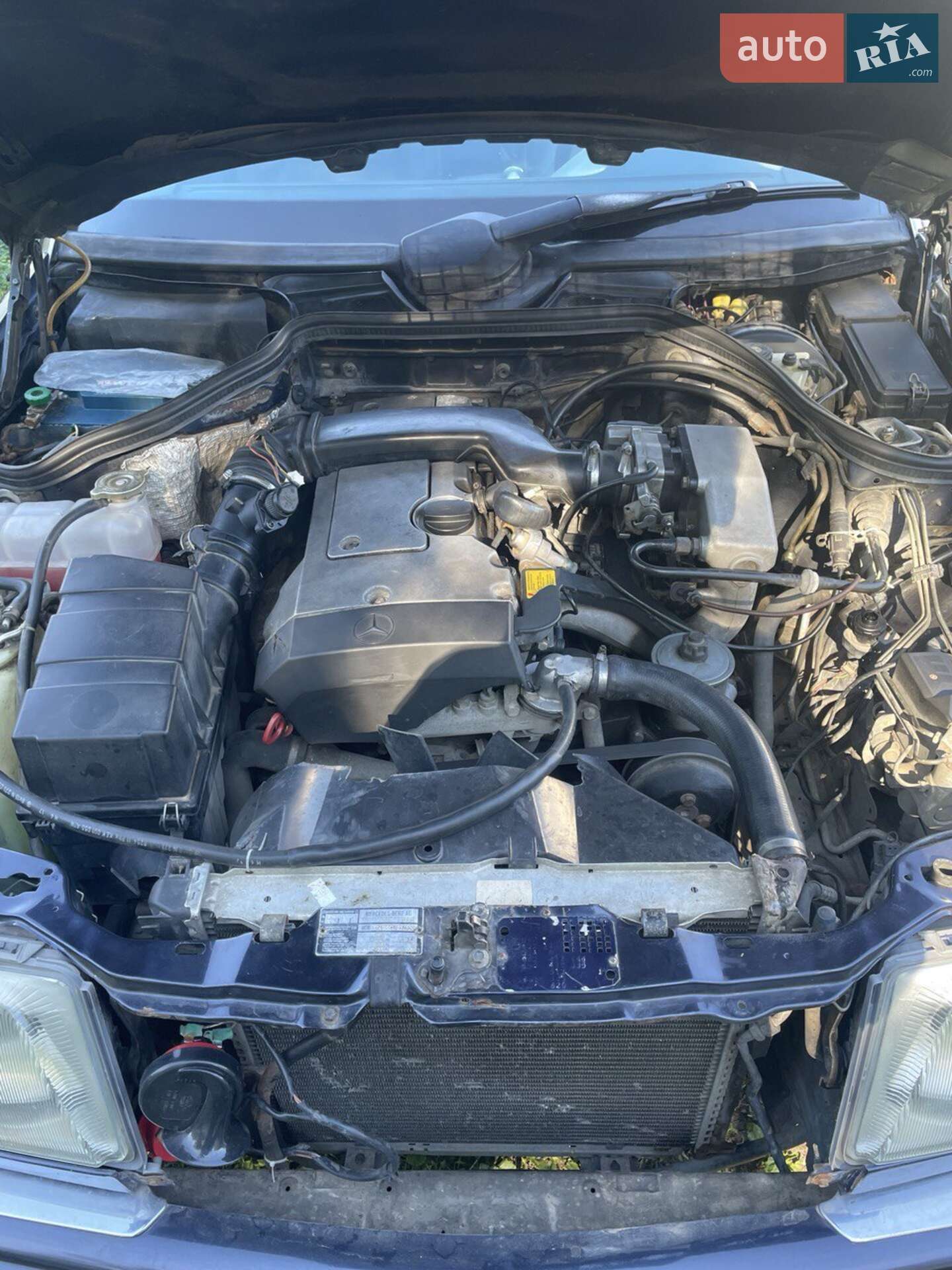 Mercedes-Benz E-Class 1994 VIN WDB1240221J057556 фото оголошення 25 з 26