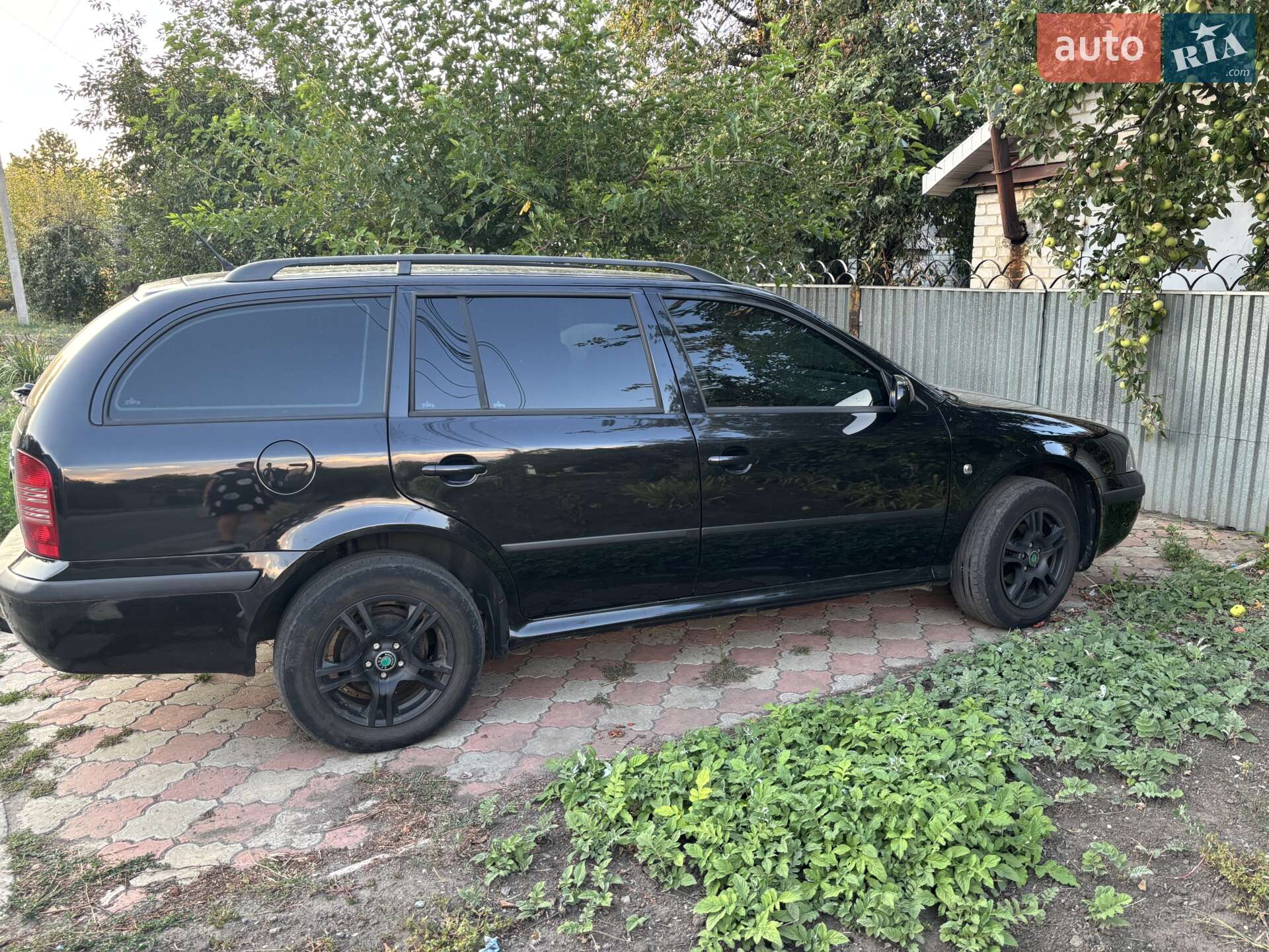 Skoda Octavia 2009 VIN TMBJX22U998849510 фото оголошення 12 з 12