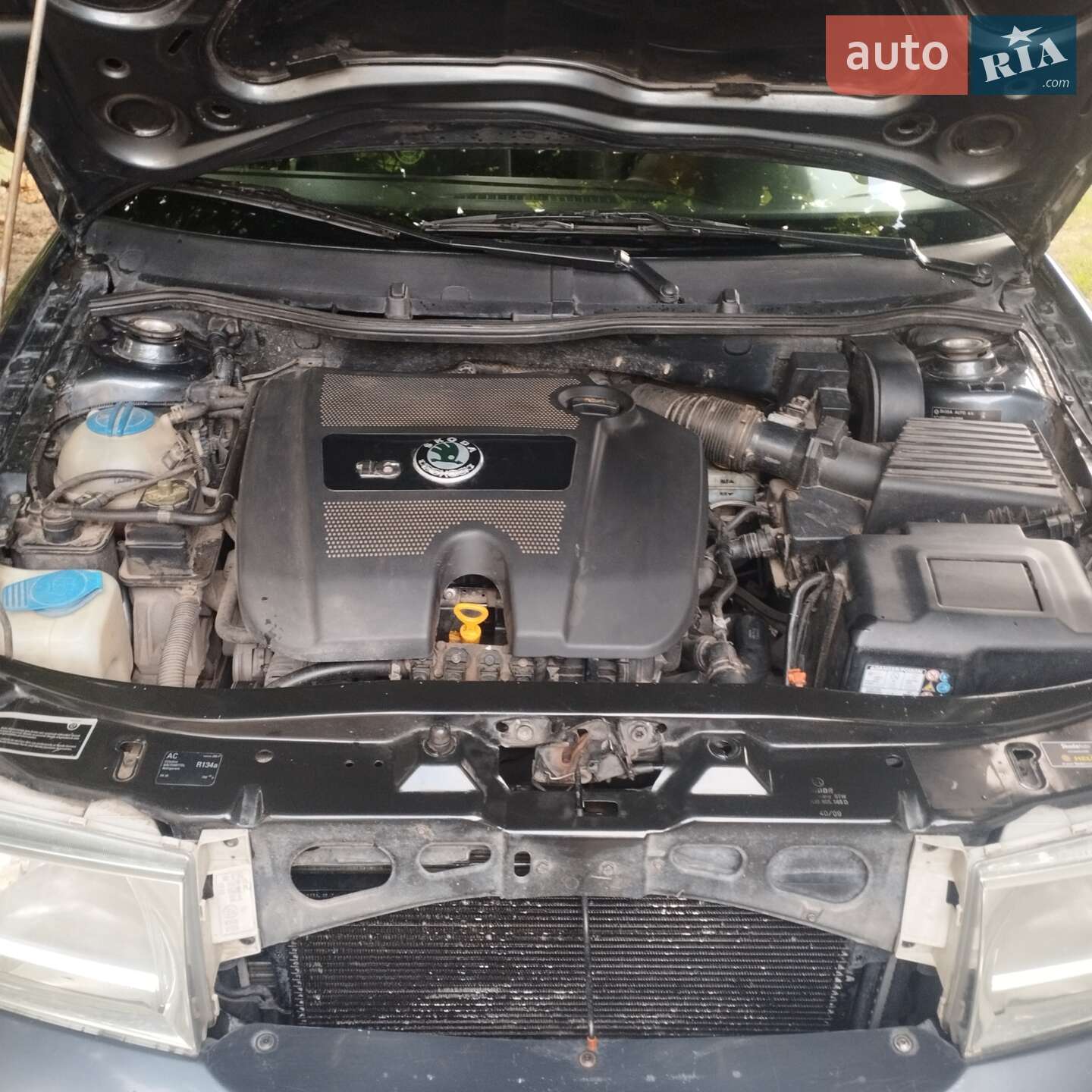 Skoda Octavia 2009 VIN TMBJX41U7A8839249 фото оголошення 7 з 16