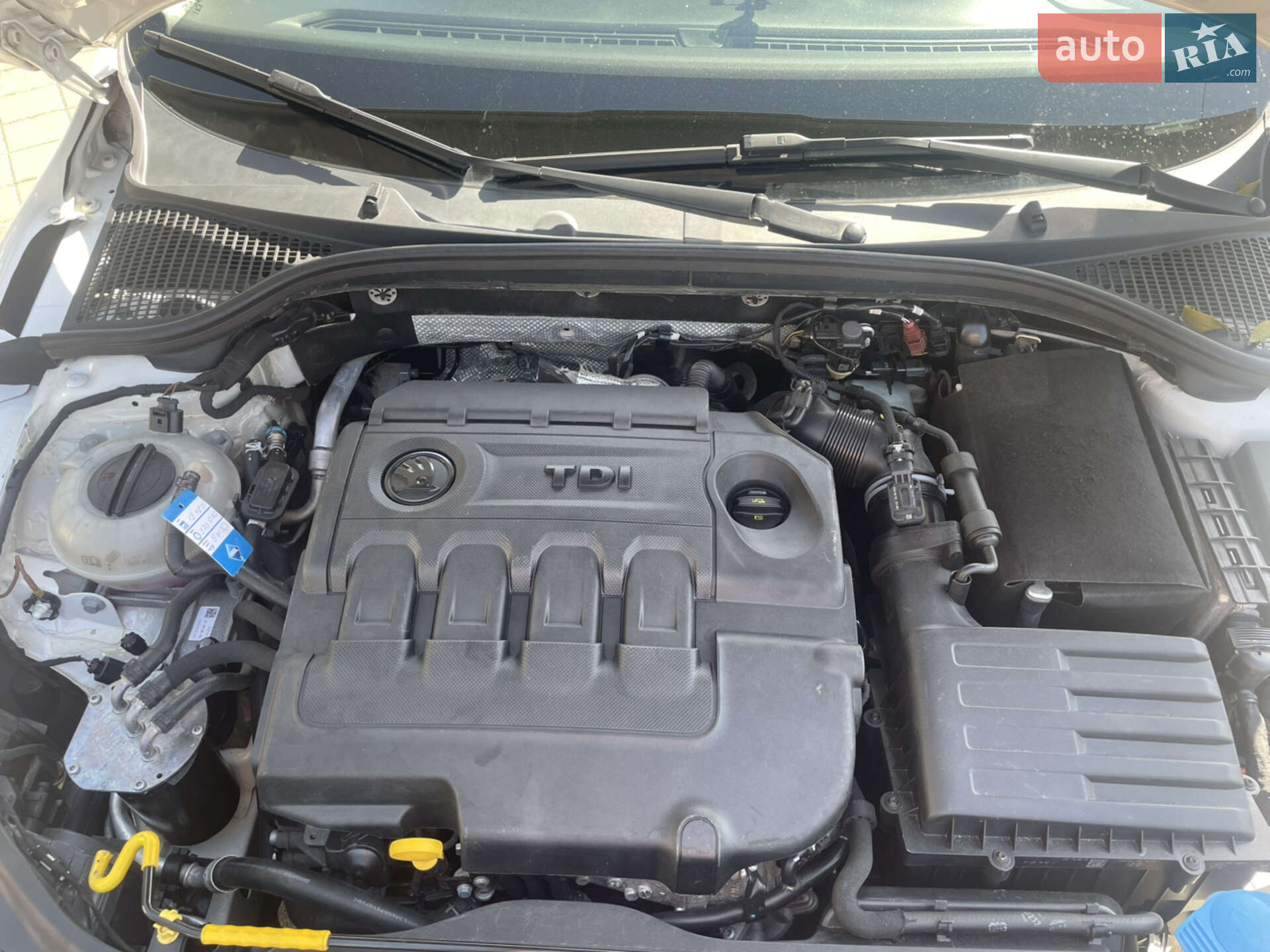 Skoda Octavia 2015 VIN TMBAG7NE4G0093922 фото оголошення 17 з 17