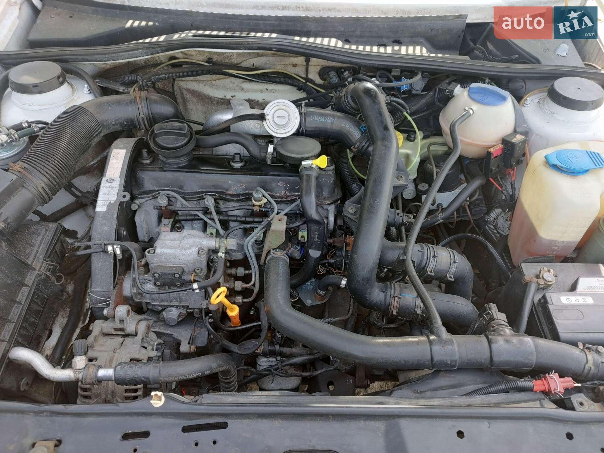 Volkswagen Golf 1988 VIN WVWZZZ19ZJW423145 фото оголошення 12 з 13