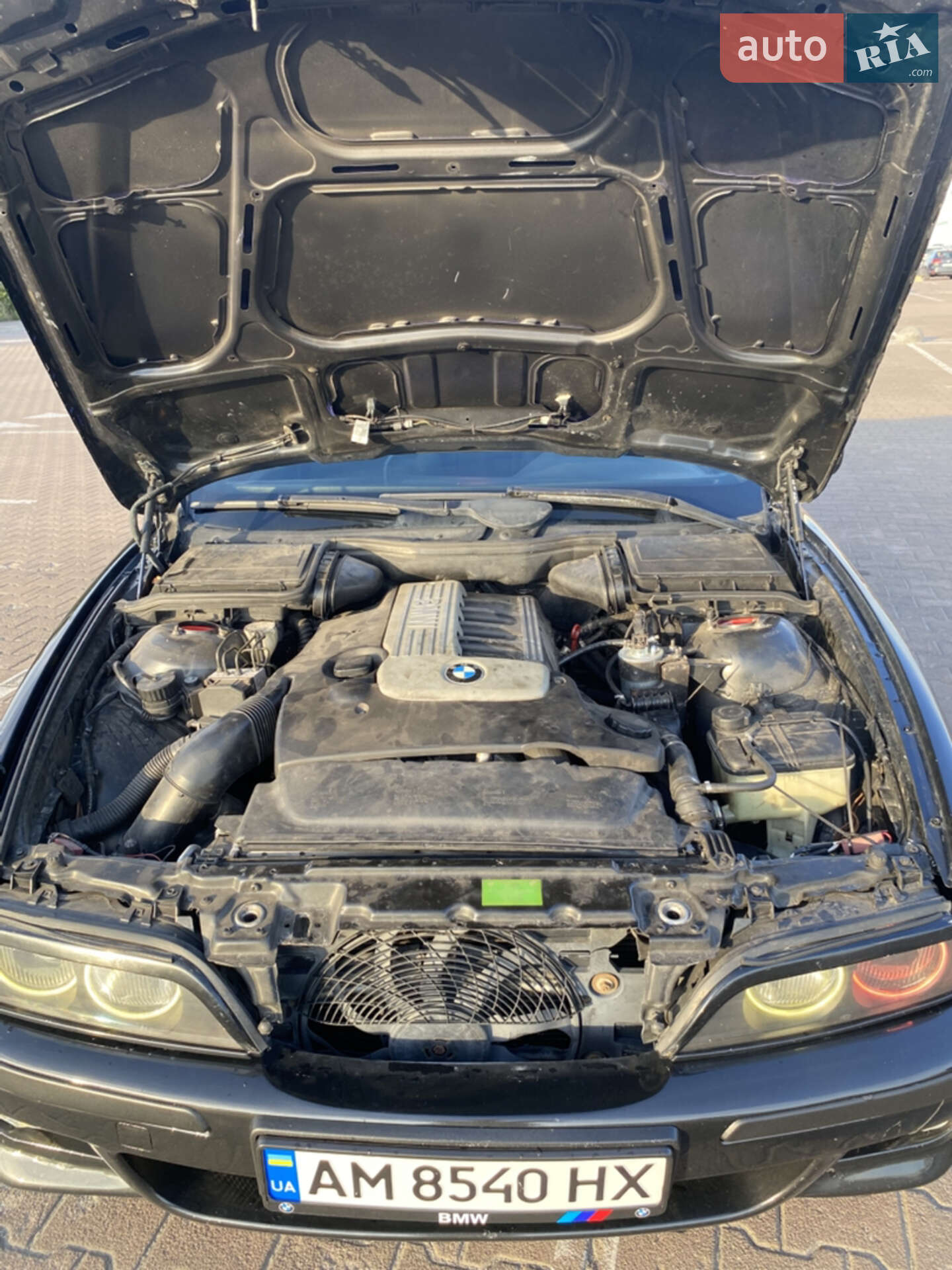 BMW 5 Series 2000 VIN WBADL810X0GX39970 фото оголошення 22 з 24