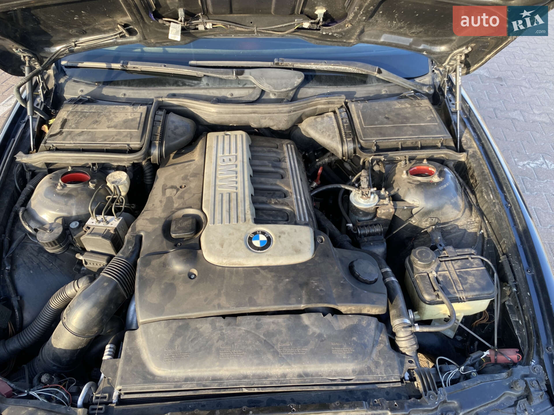 BMW 5 Series 2000 VIN WBADL810X0GX39970 фото оголошення 23 з 24