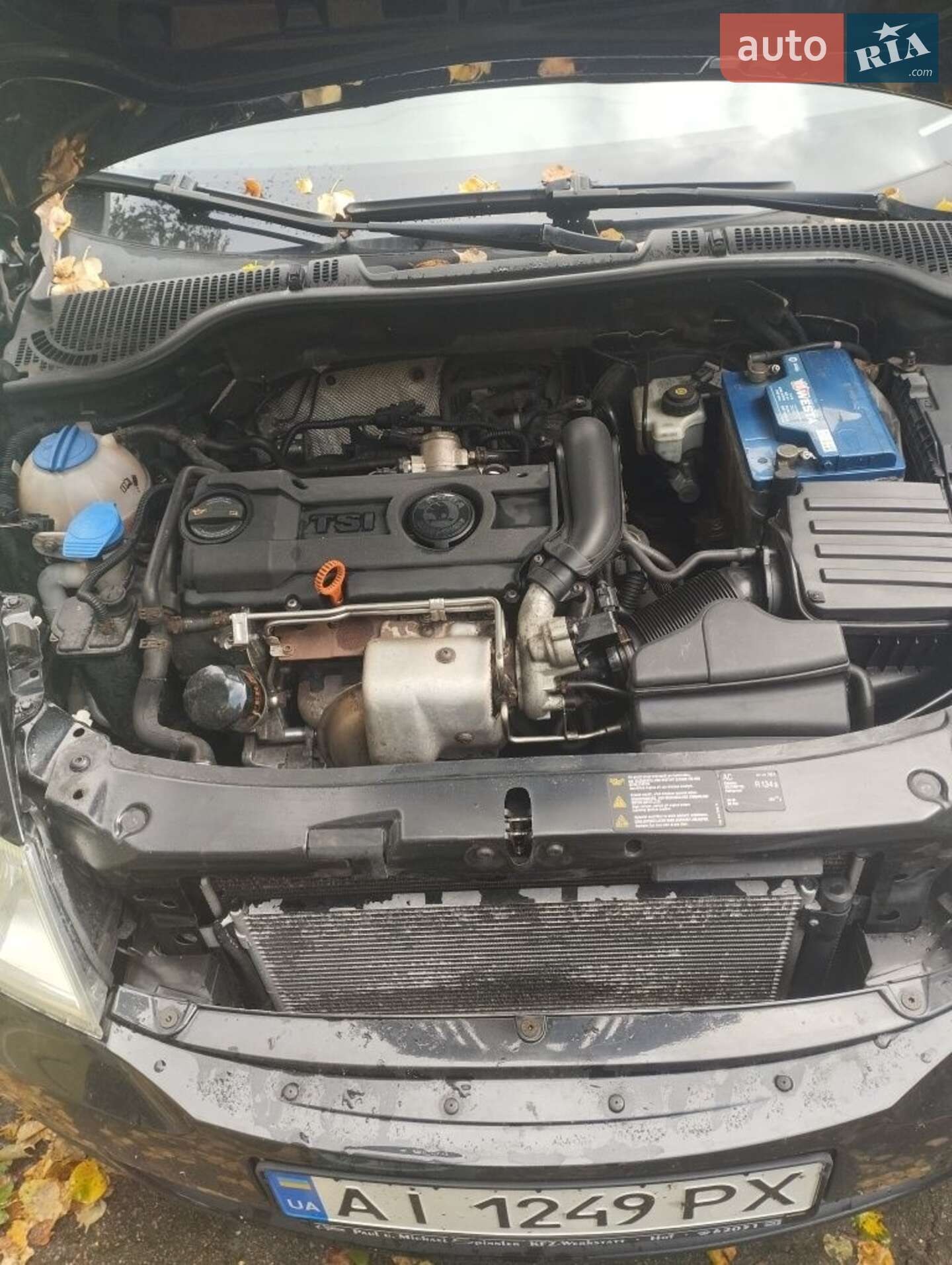 Skoda Octavia 2010 VIN TMBHJ61ZXA8031839 фото оголошення 18 з 24