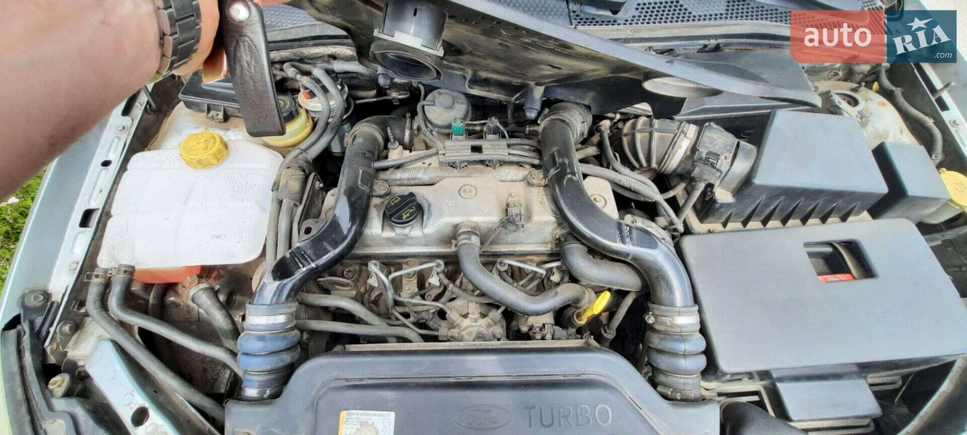 Ford Focus 2004 VIN WF0AXXWPDA4S17034 фото оголошення 6 з 7