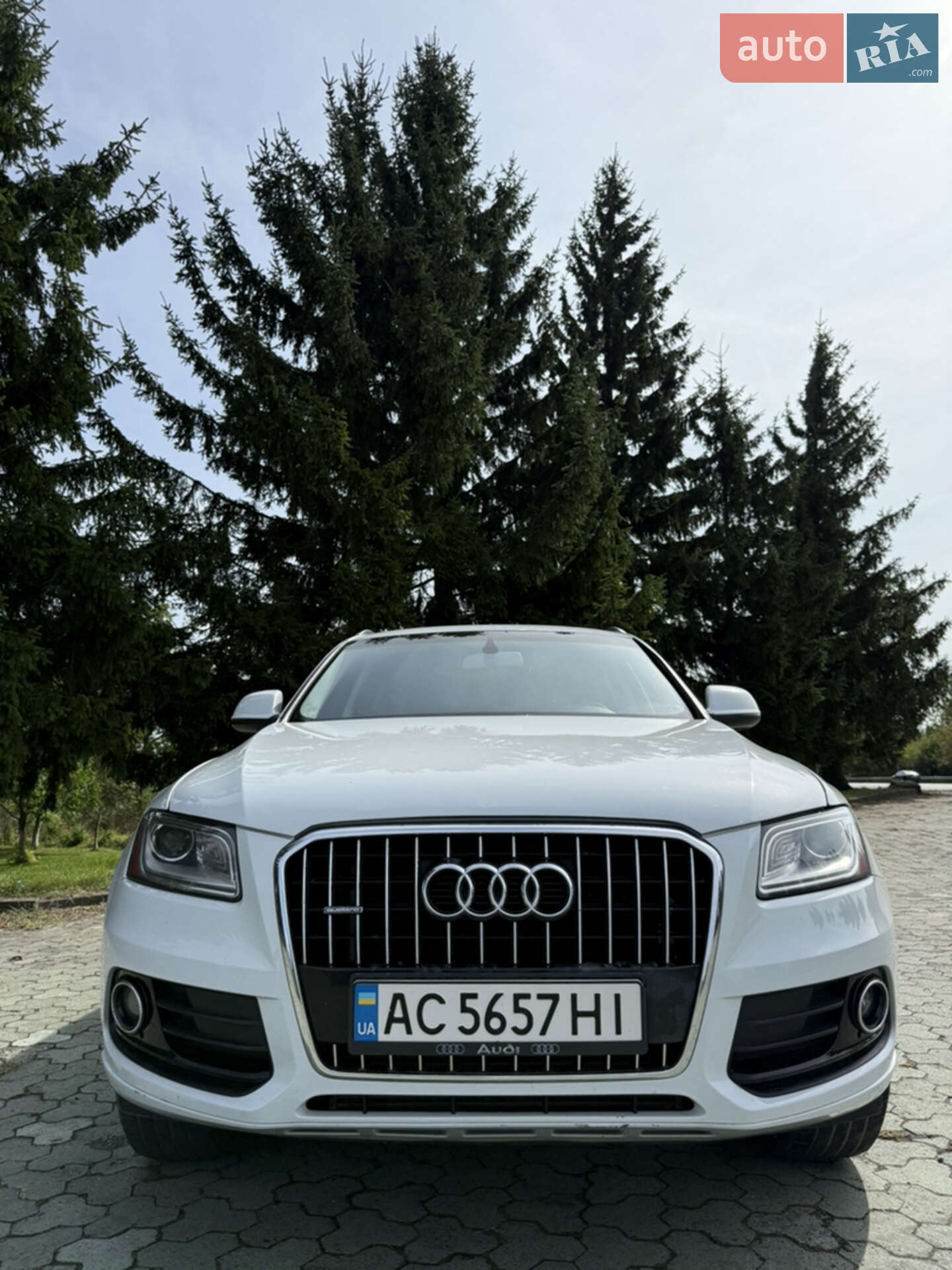 Audi Q5 2013 VIN WA1CFAFP9EA021317 фото оголошення 28 з 57