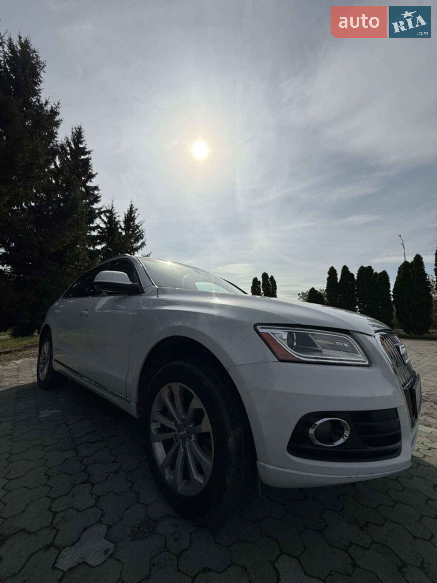 Audi Q5 2013 VIN WA1CFAFP9EA021317 фото оголошення 50 з 57