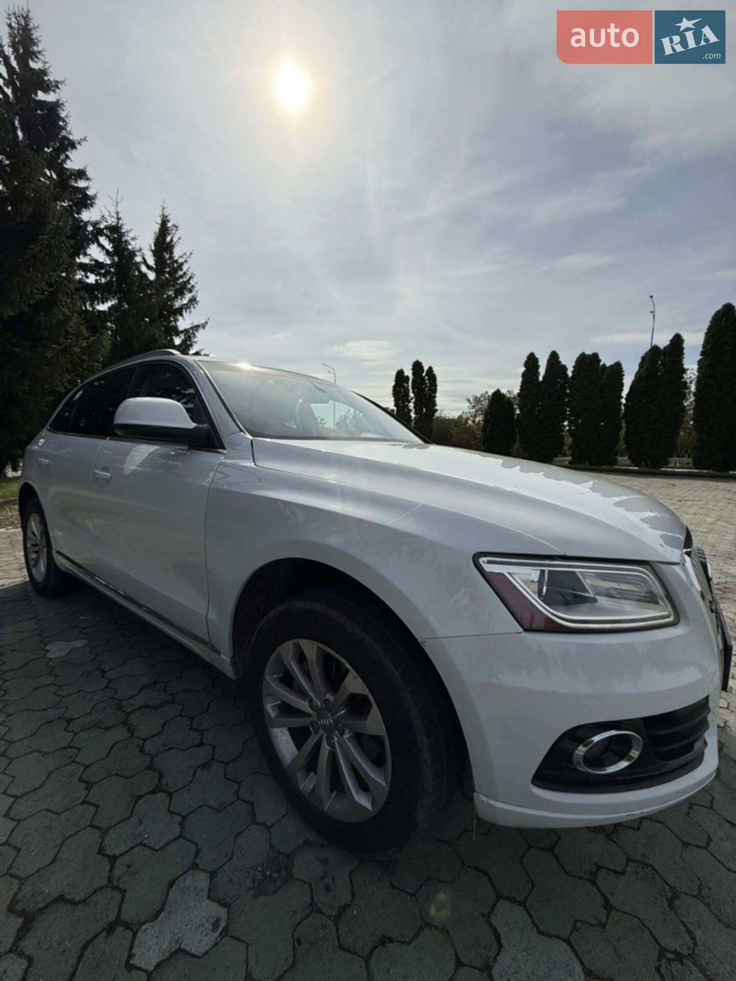 Audi Q5 2013 VIN WA1CFAFP9EA021317 фото оголошення 52 з 57