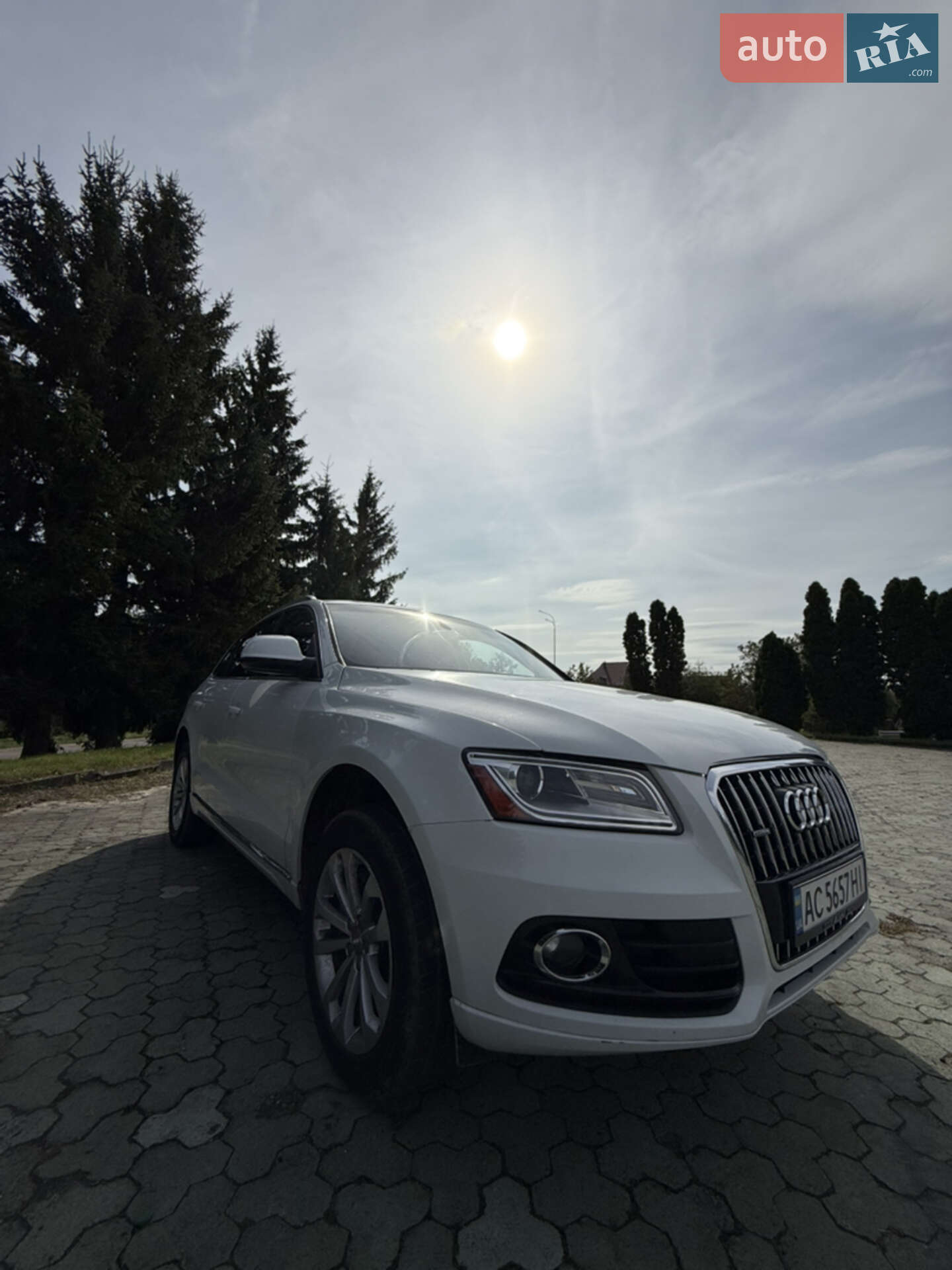 Audi Q5 2013 VIN WA1CFAFP9EA021317 фото оголошення 53 з 57