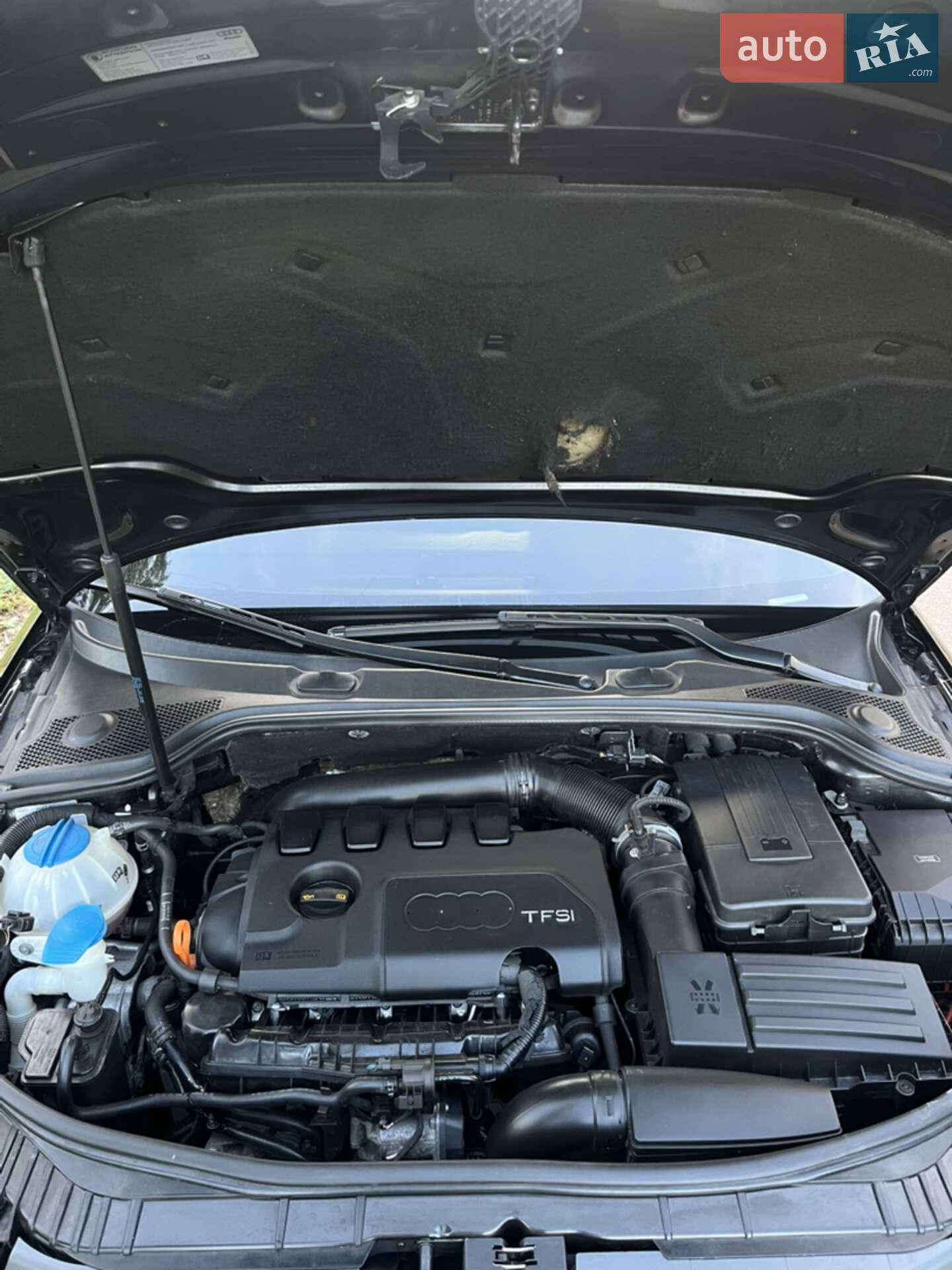 Audi A3 2008 VIN WAUZZZ8P49A038502 фото оголошення 17 з 17