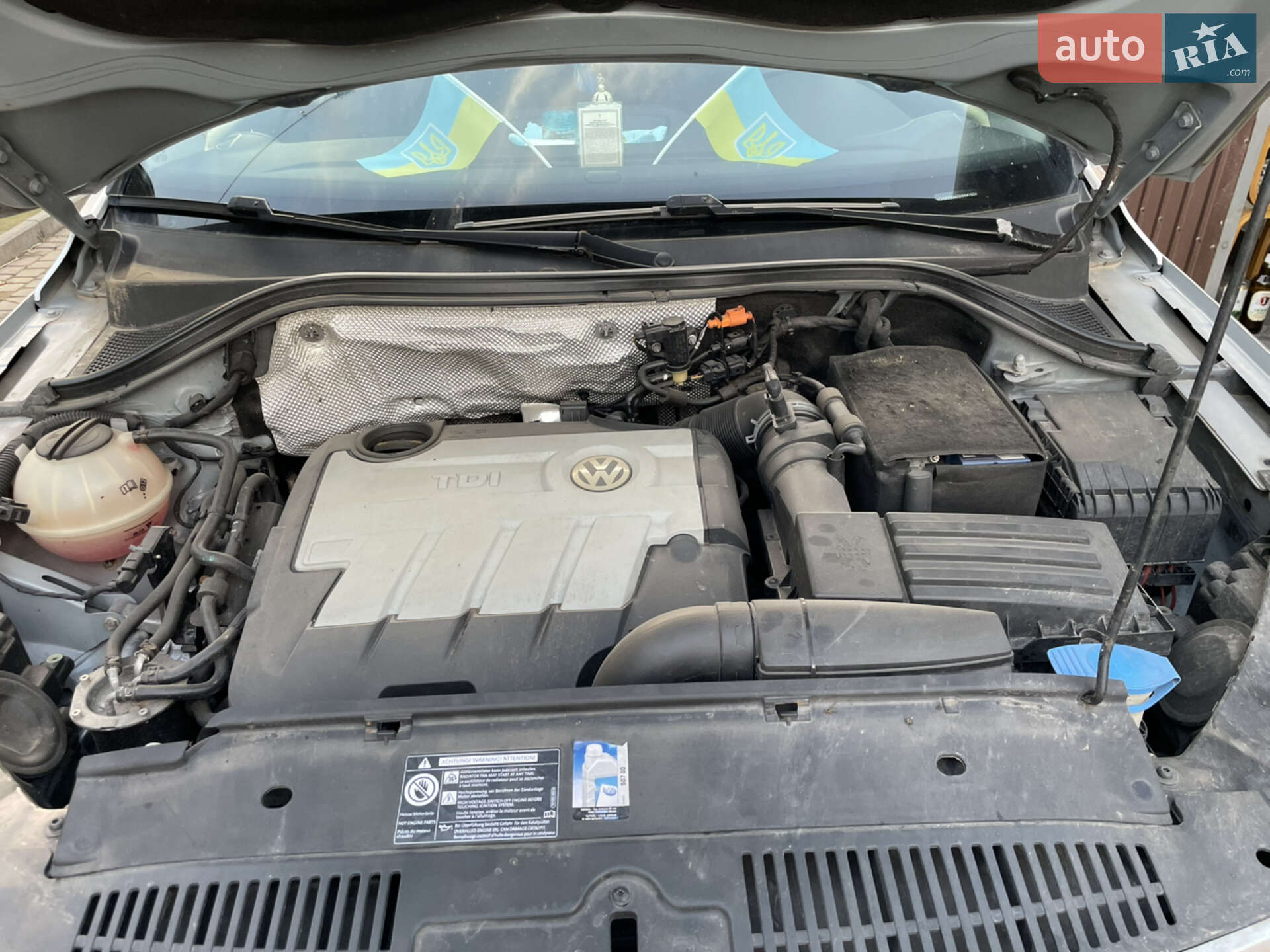 Volkswagen Tiguan 2008 VIN WVGZZZ5NZ9W041534 фото оголошення 16 з 16