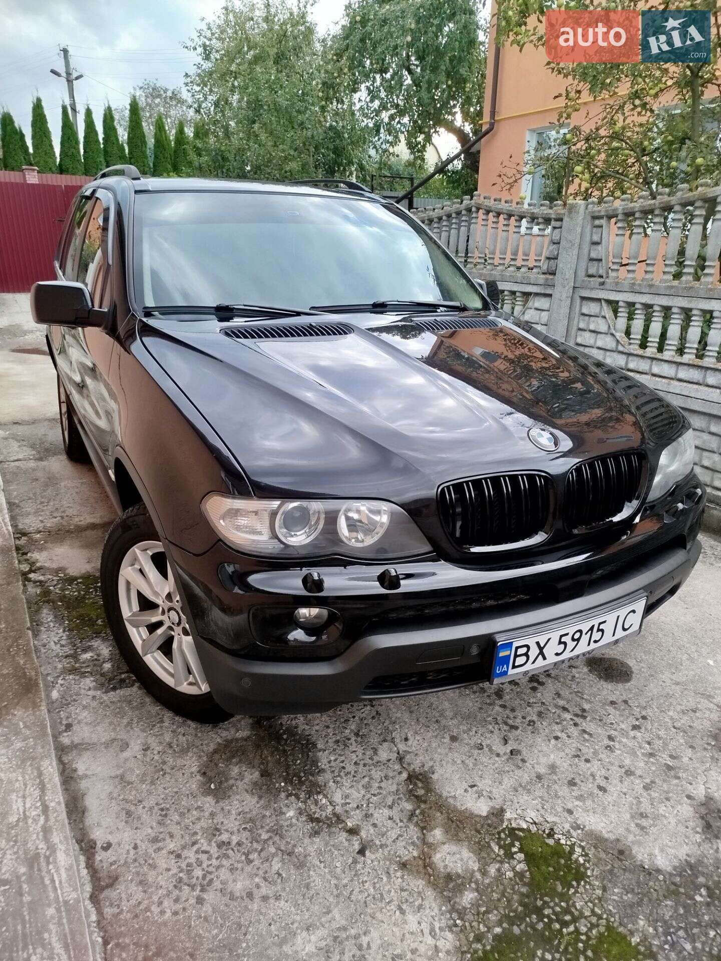 BMW X5 2004 VIN WBAFB71050LV52441 фото оголошення 24 з 24