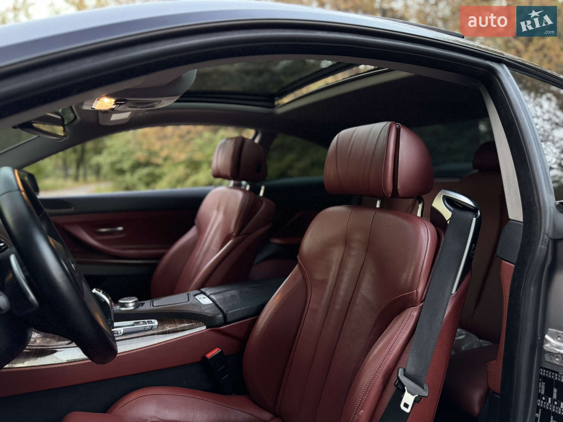 BMW 6 Series 2016 VIN WBA6H31090D933548 фото оголошення 29 з 51