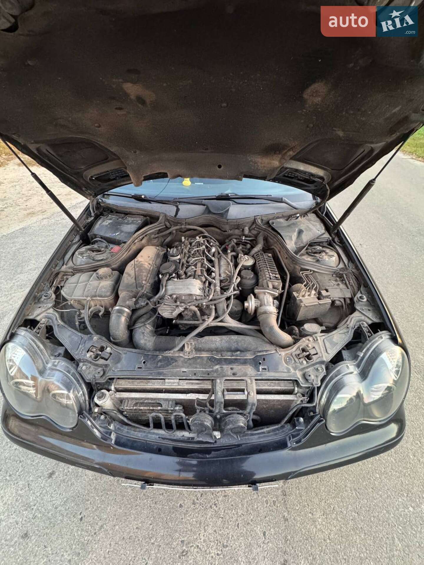Mercedes-Benz C-Class 2002 VIN WDB2032041F246584 фото оголошення 19 з 21