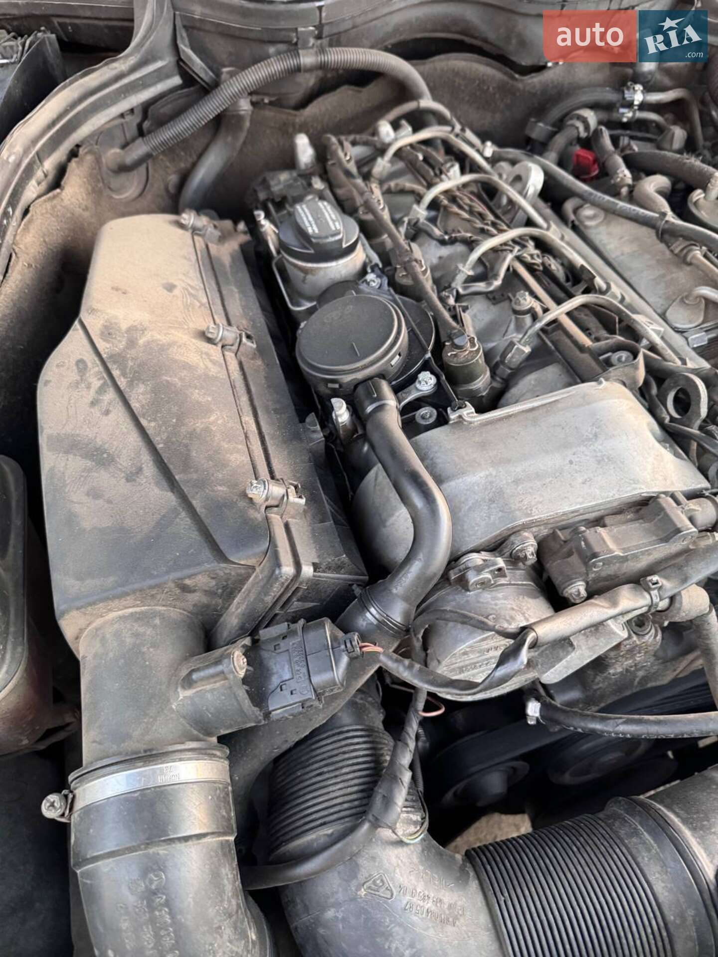 Mercedes-Benz C-Class 2002 VIN WDB2032041F246584 фото оголошення 21 з 21