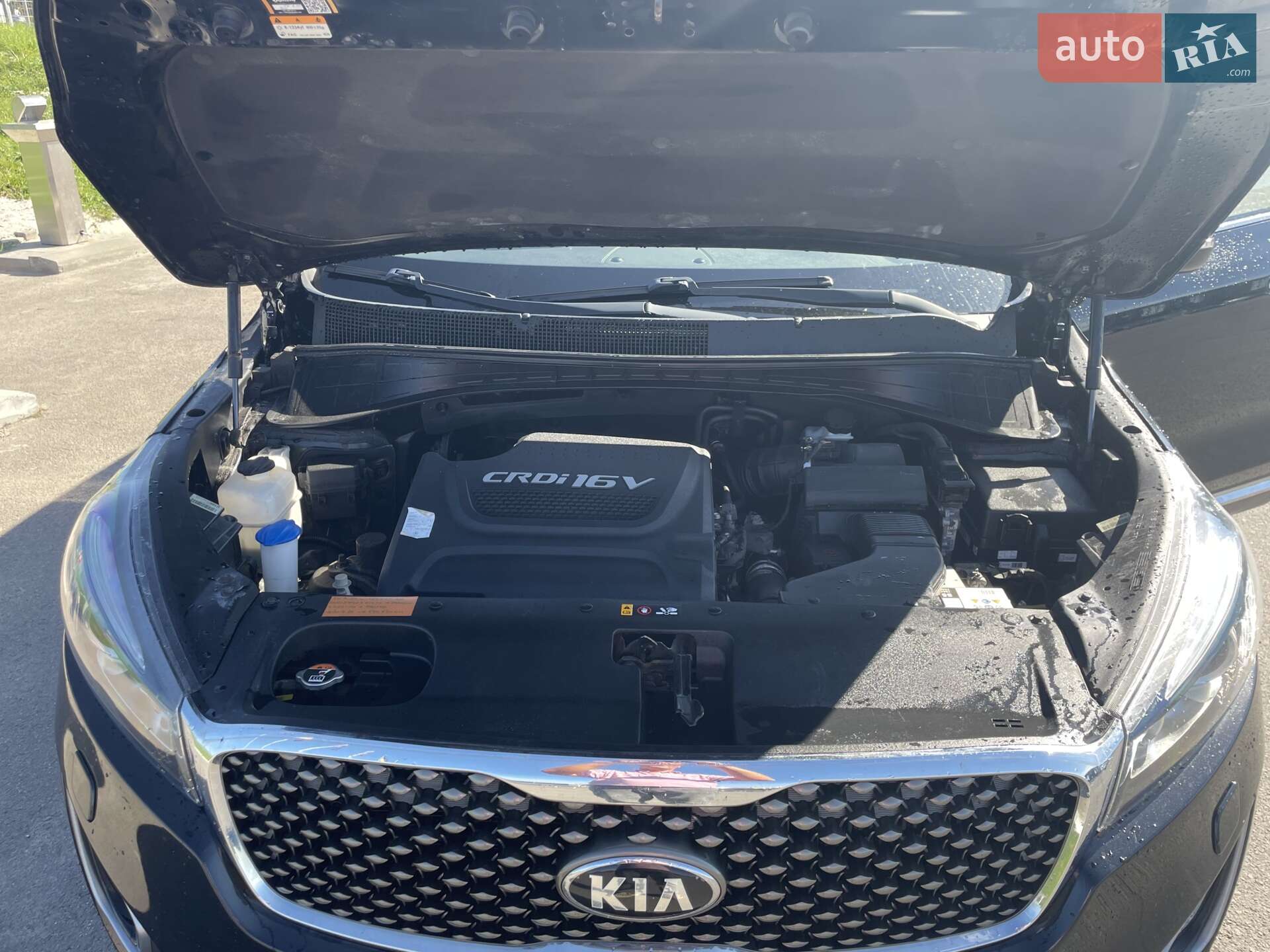 Kia Sorento 2015 VIN KNAPH81BDF5059954 фото оголошення 29 з 31