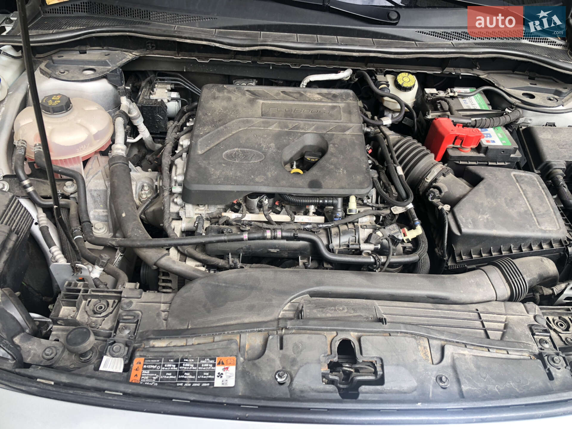 Ford Escape 2019 VIN 1FMCU0F69LUA81439 фото оголошення 13 з 13