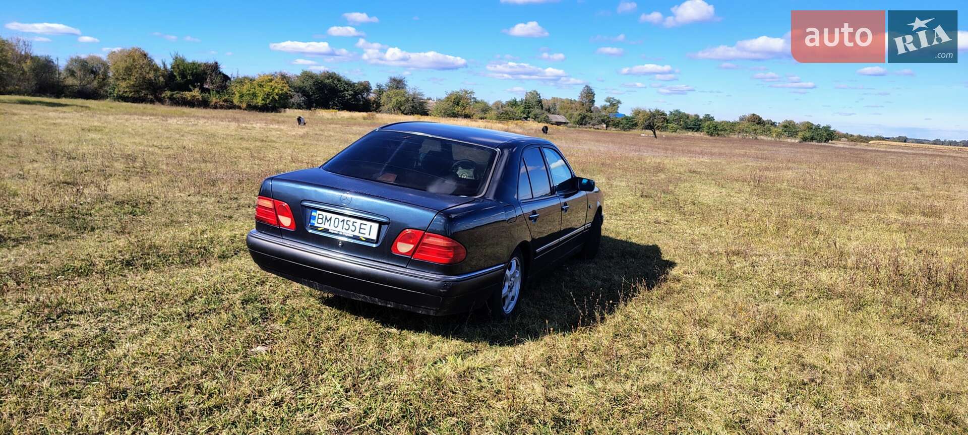 Mercedes-Benz E-Class 1996 VIN WDB2100351A134256 фото оголошення 3 з 9