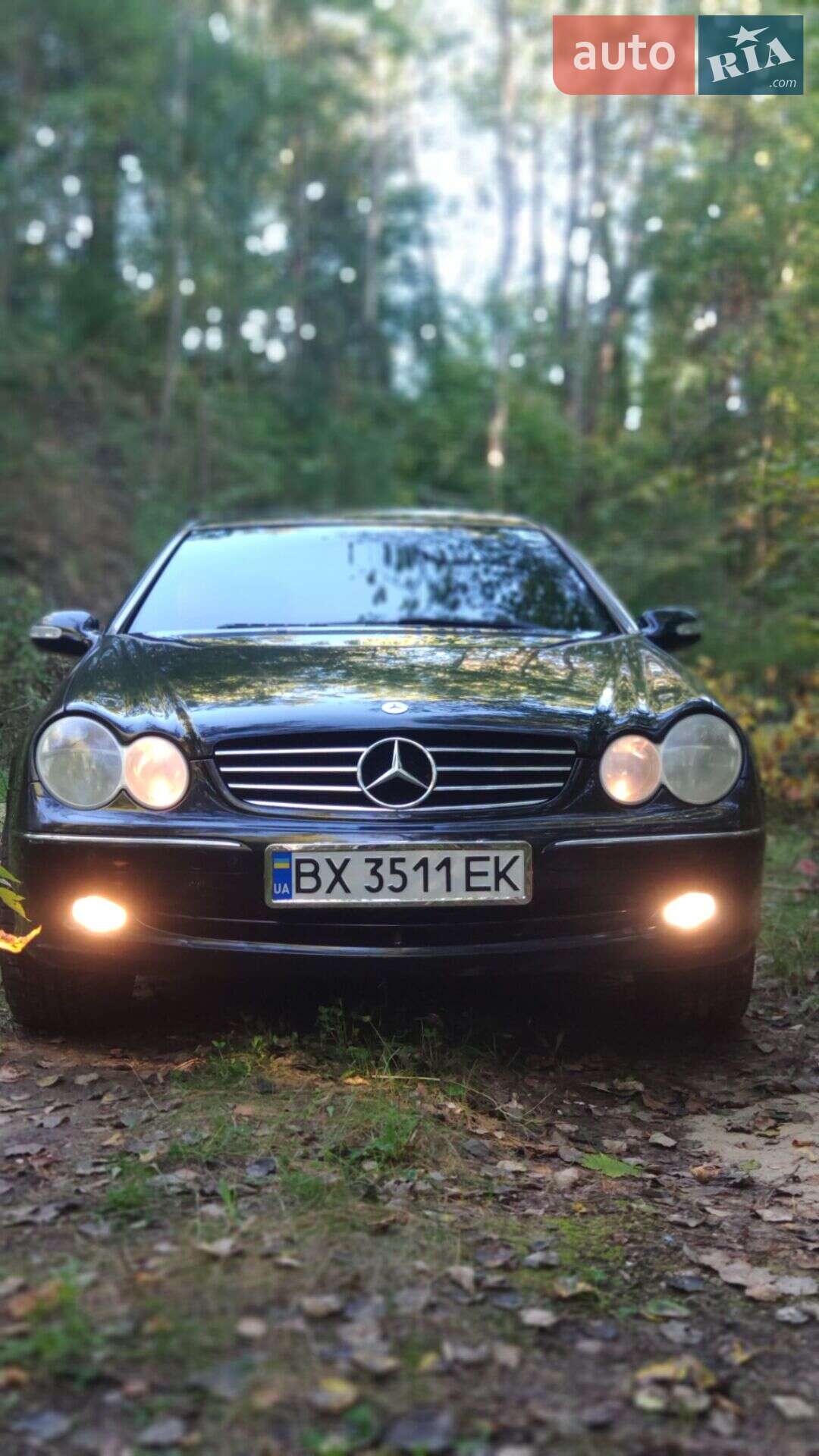 Mercedes-Benz CLK-Class 2004 VIN WDB2093421F118962 фото оголошення 5 з 36