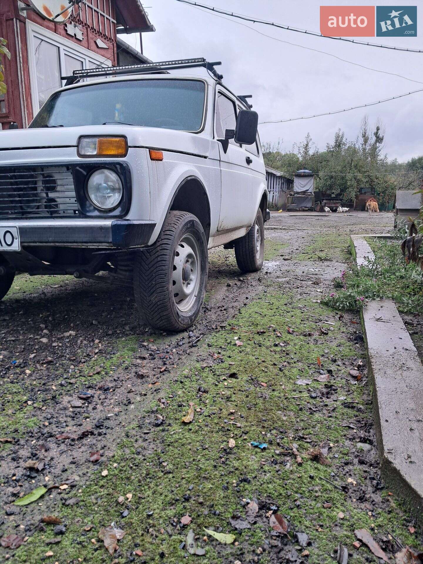 ВАЗ / Lada 2121 Нива 1983 VIN XTA212100D0290902 фото оголошення 8 з 12