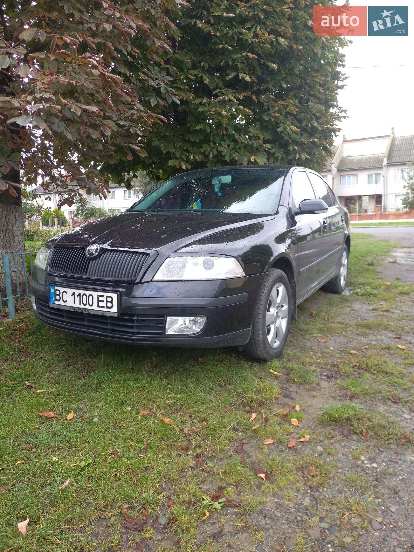 Skoda Octavia 2008 VIN TMBCA41ZX8B156089 фото оголошення 13 з 14