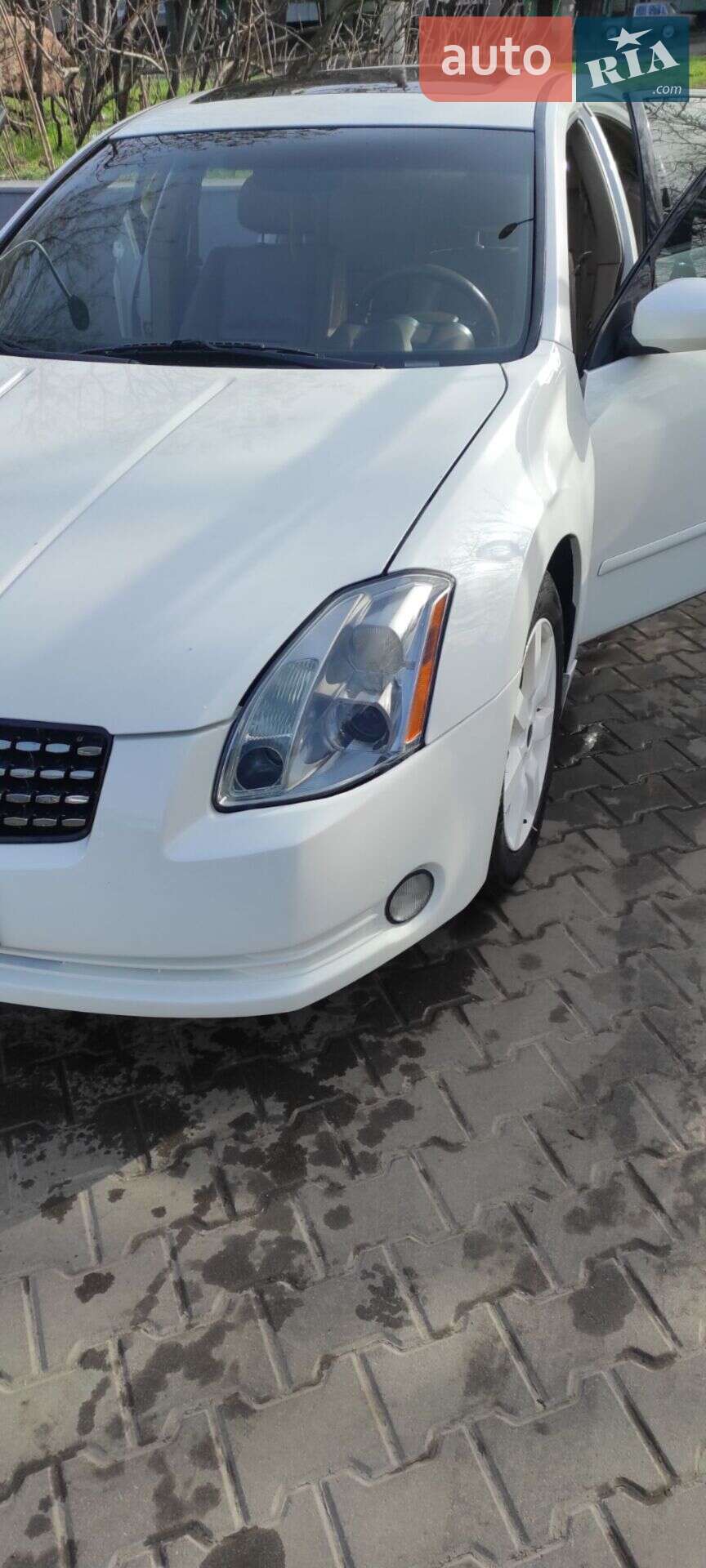 Nissan Maxima 2006 VIN 1N4BA41EX6C820803 фото оголошення 26 з 26
