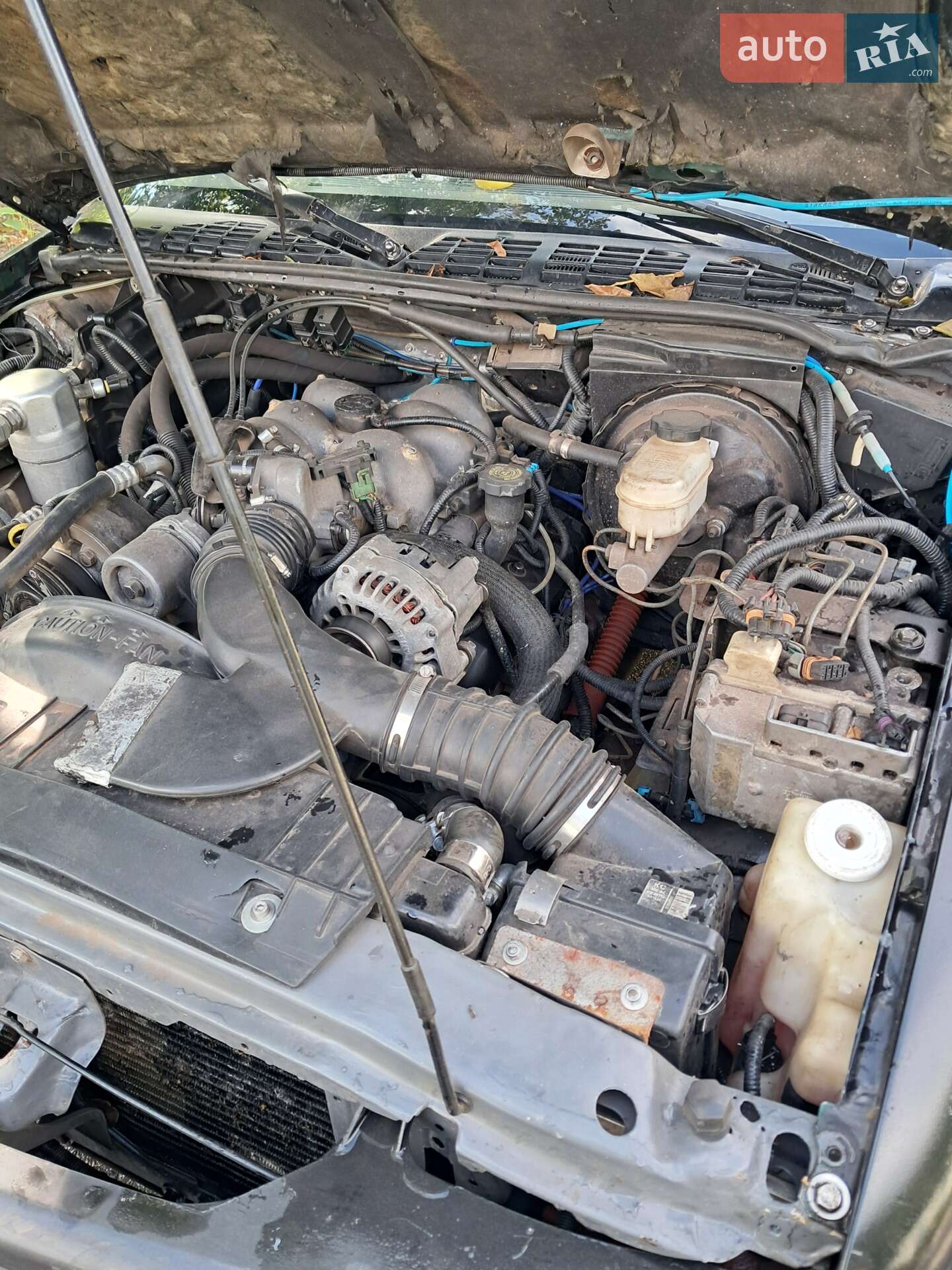 Chevrolet Blazer 1995 VIN 1GNDT13W1S2133704 фото оголошення 8 з 16