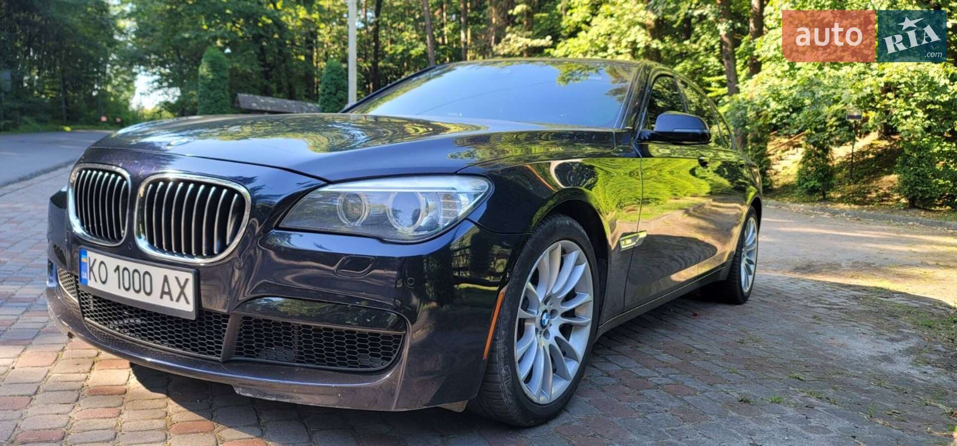 BMW 7 Series 2013 VIN WBAYA8C50ED228485 фото оголошення 9 з 25