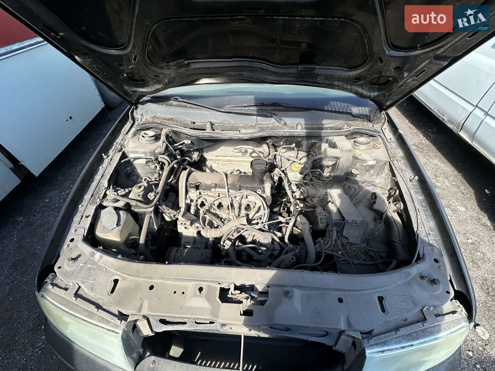 Skoda Octavia 2008 VIN Y6UDX41U68B012434 фото оголошення 20 з 21