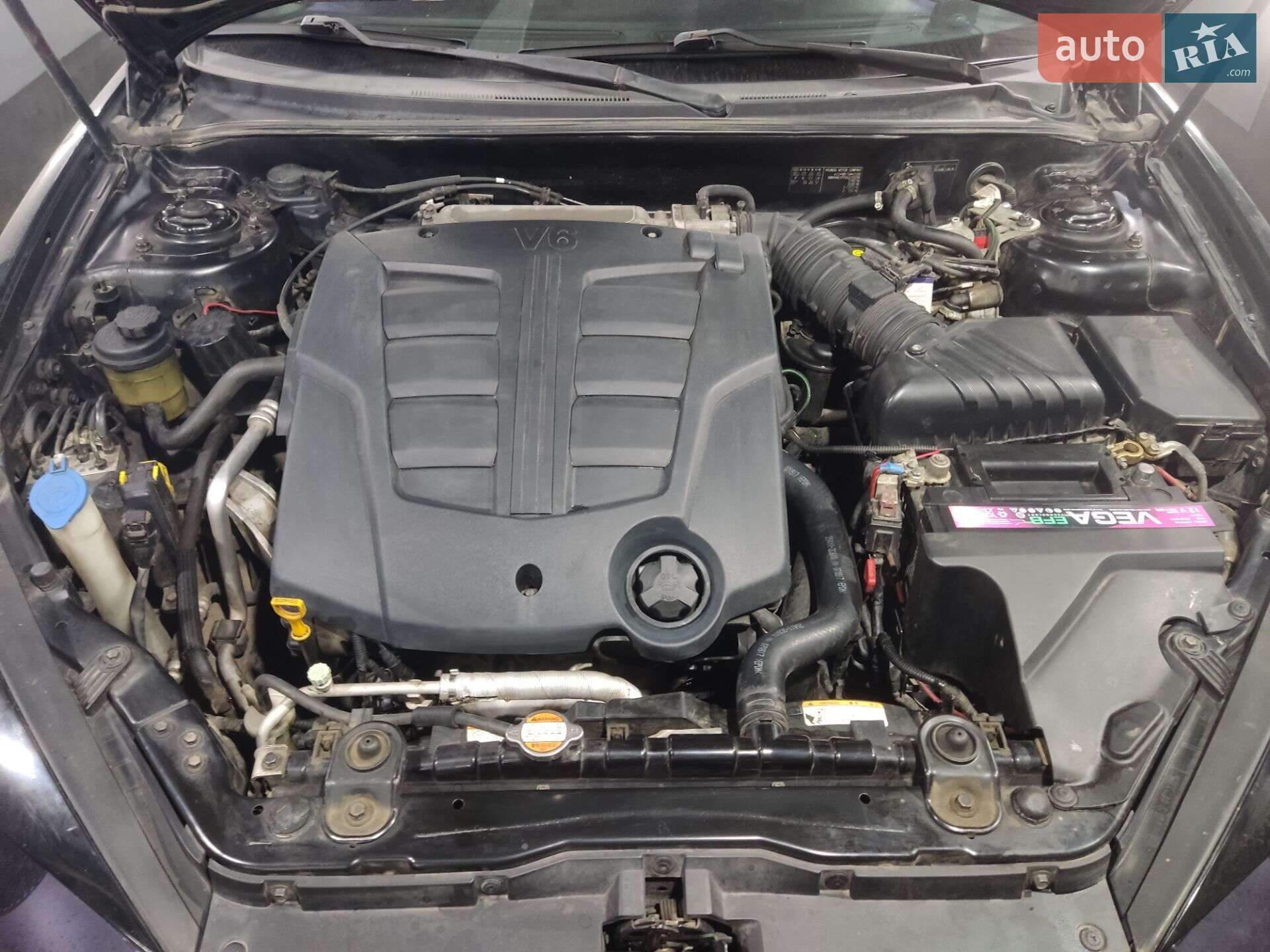 Hyundai Coupe 2008 VIN KMHHN61FP8U270256 фото оголошення 33 з 57