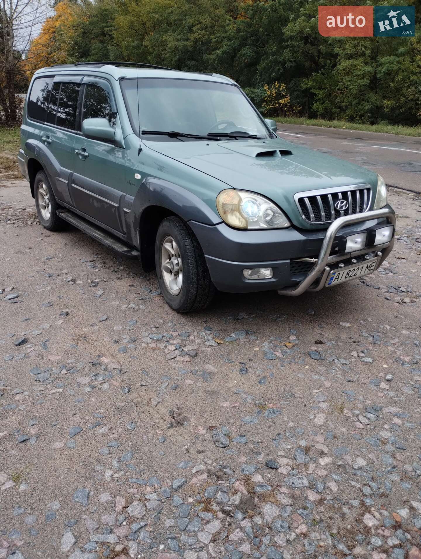 Hyundai Terracan 2006 VIN KMHNM81XP6U201568 фото оголошення 19 з 33