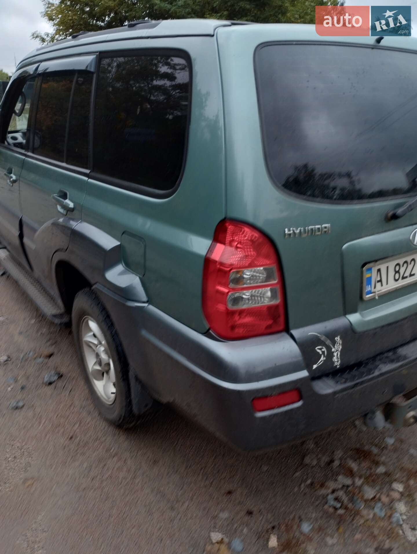 Hyundai Terracan 2006 VIN KMHNM81XP6U201568 фото оголошення 33 з 33